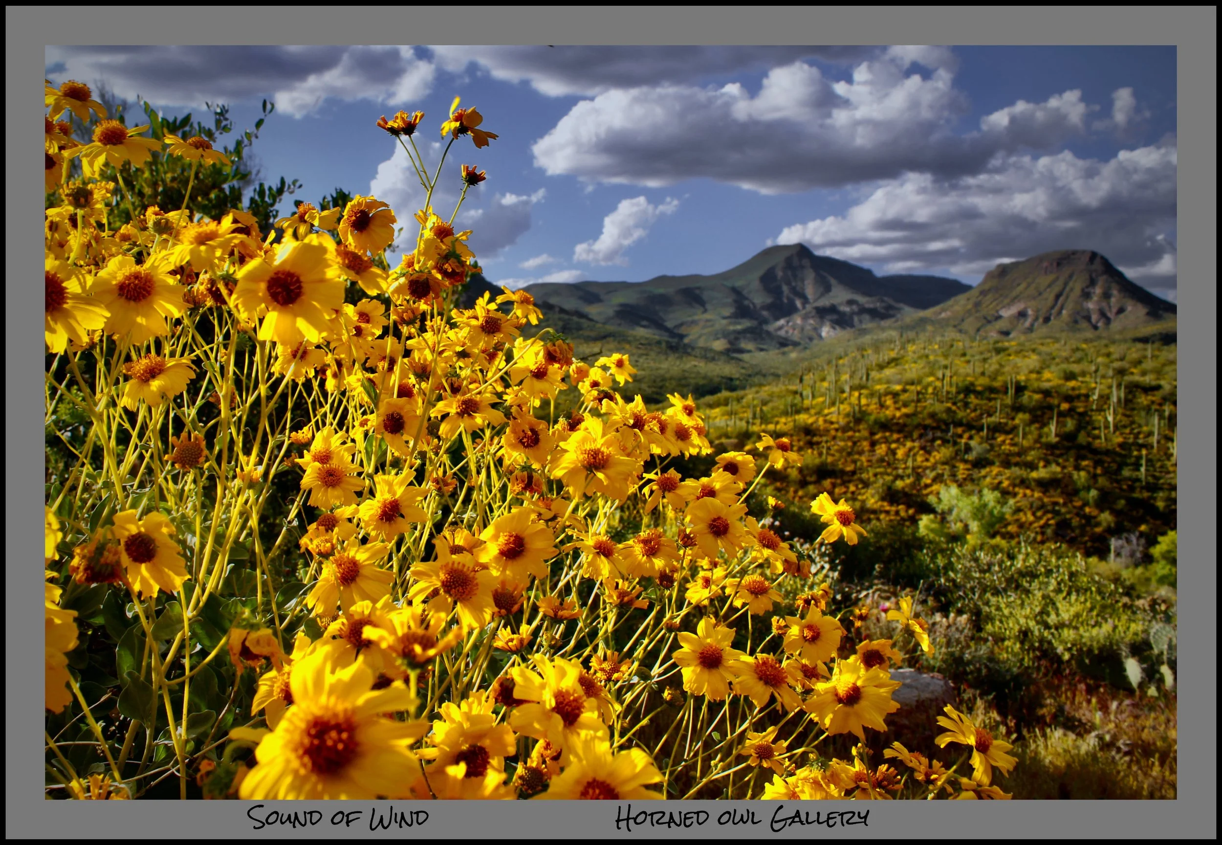 IMG_7024 (1) logo.jpg