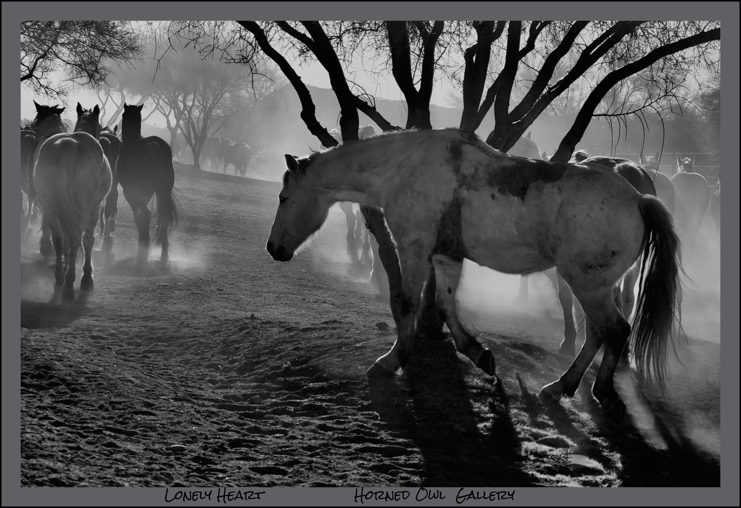 IMG_8012 (1) logo.jpg