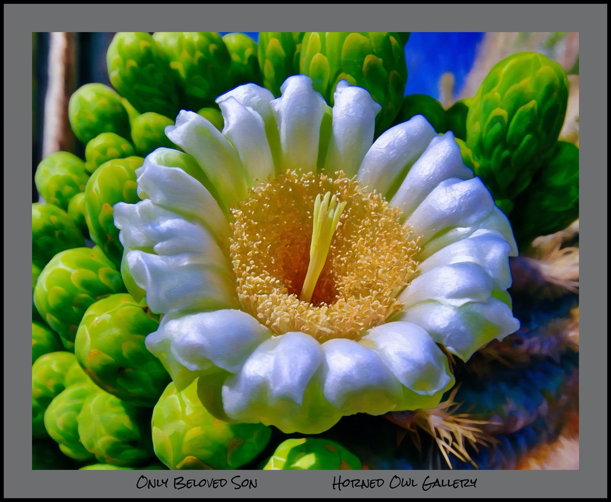 IMG_5886 (22) logo.jpg