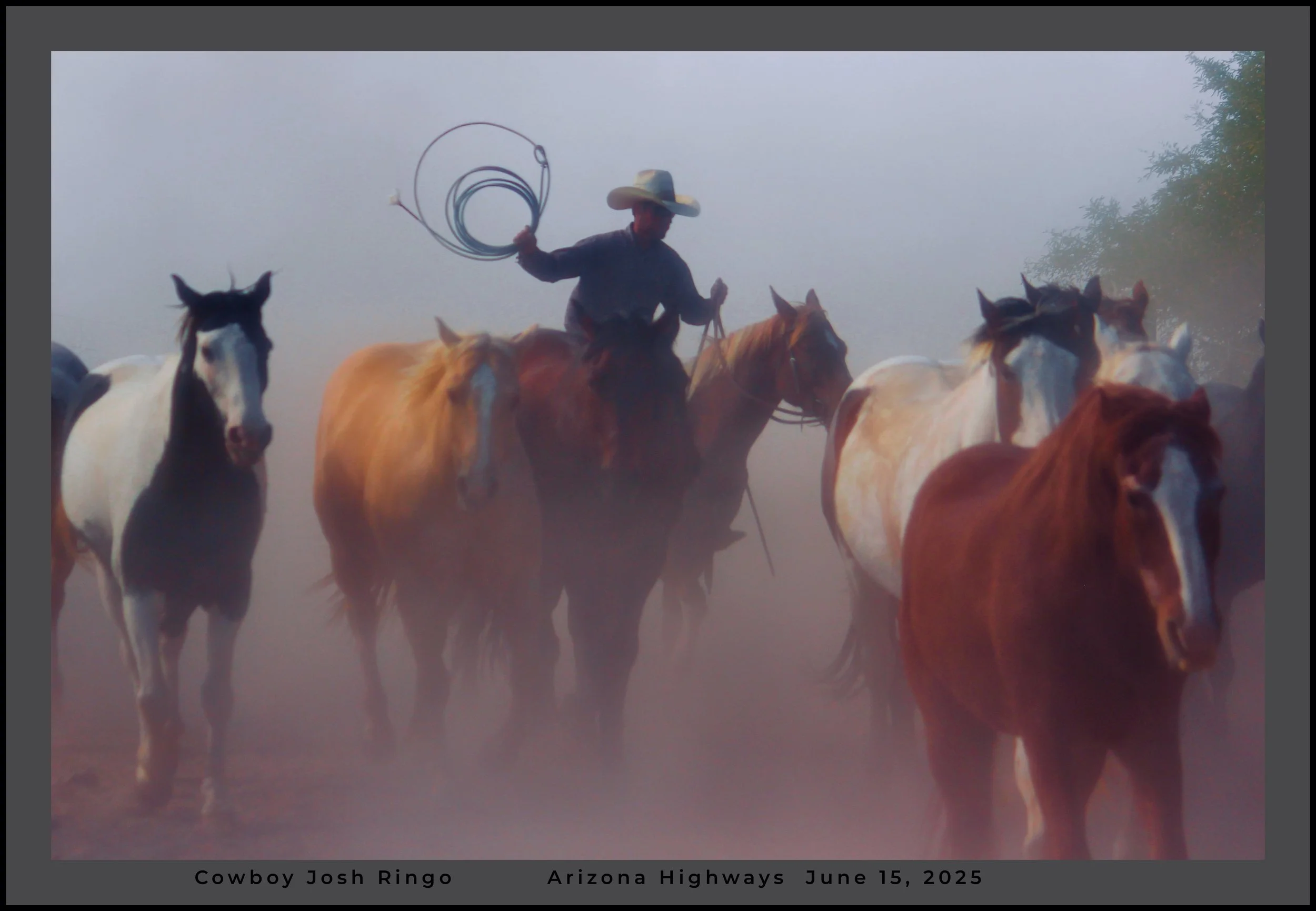 IMG_8690 master az logo-2.jpg