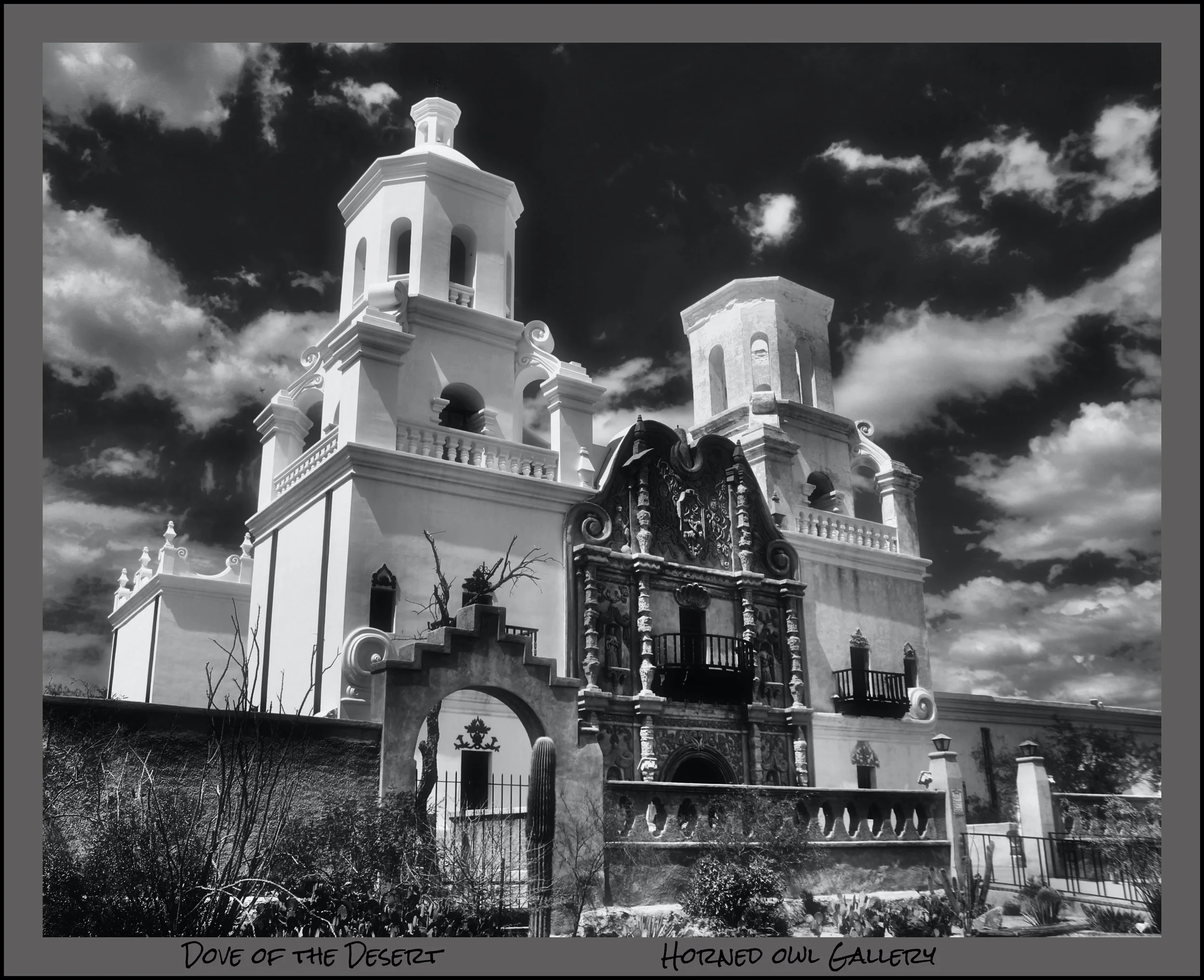 IMG_8313 (5) logo.jpg