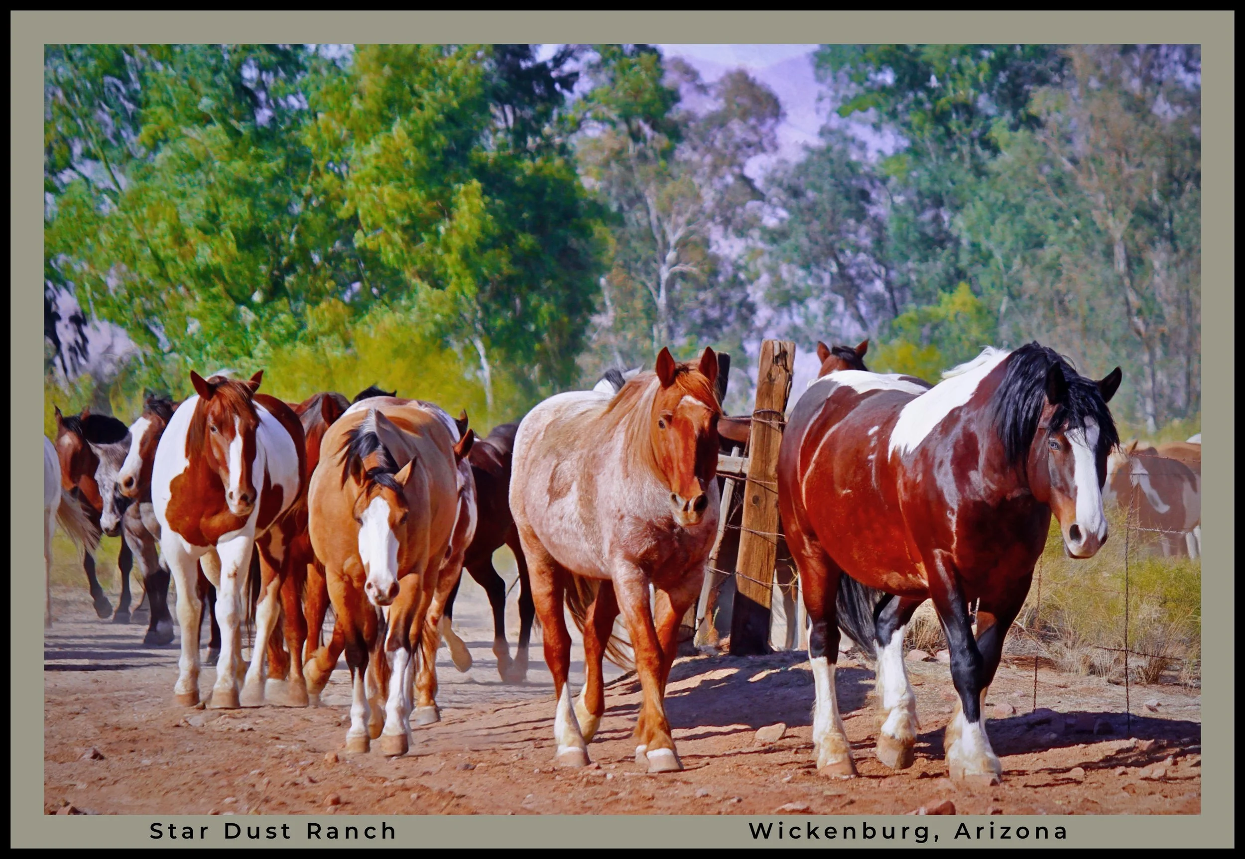 IMG_3071 (30) oil logo.jpg