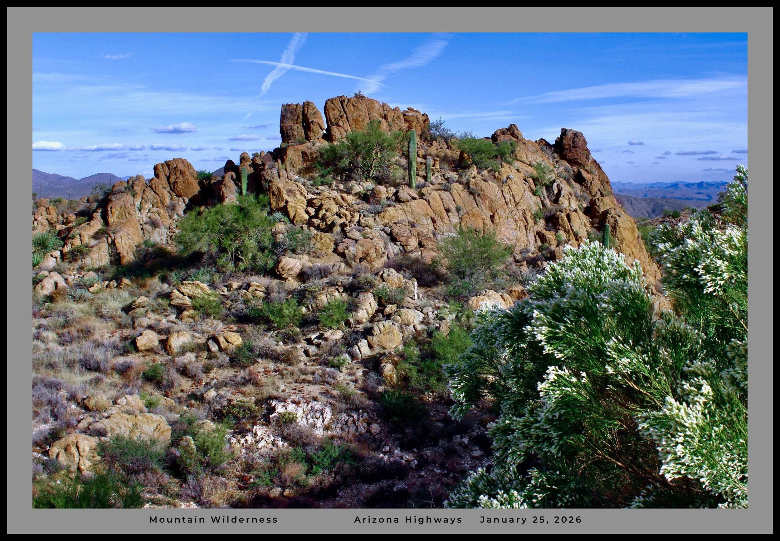 IMG_5993 (1) logo.jpg