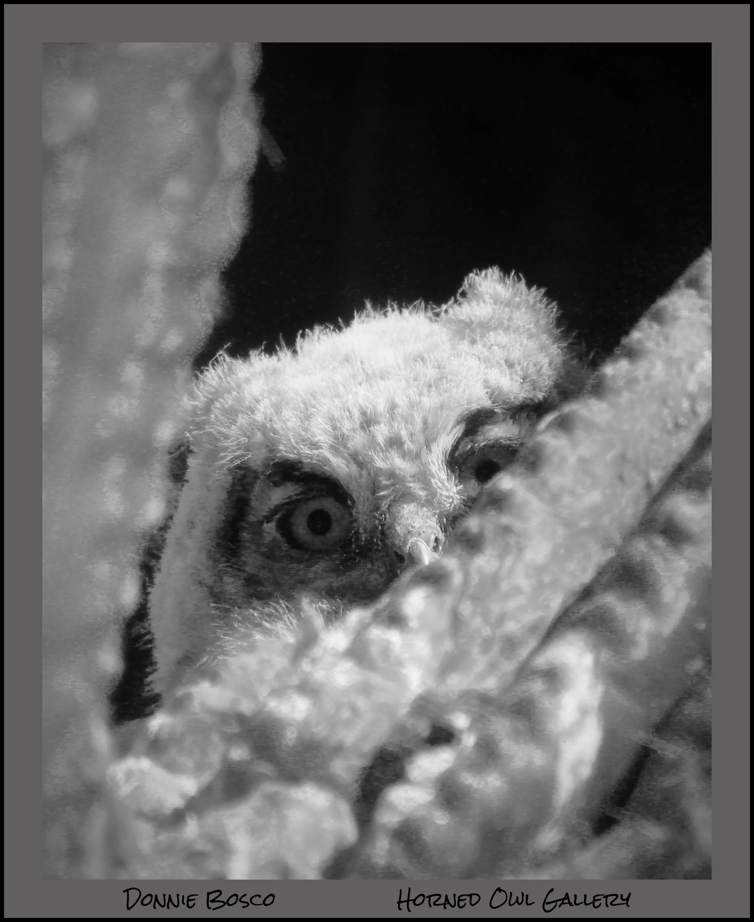 IMG_0270 (2) logo.jpg