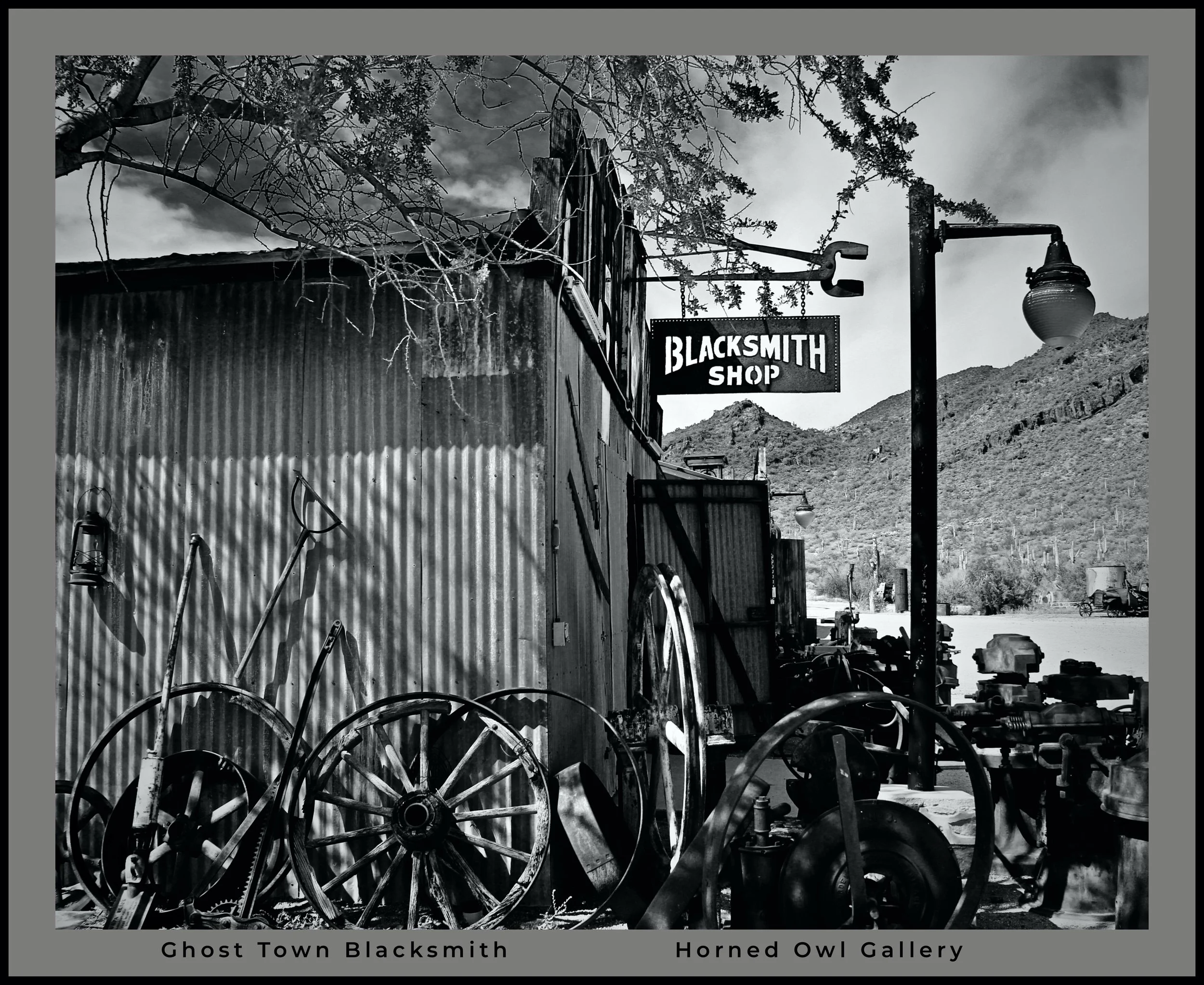 IMG_4755 (16) logo.jpg