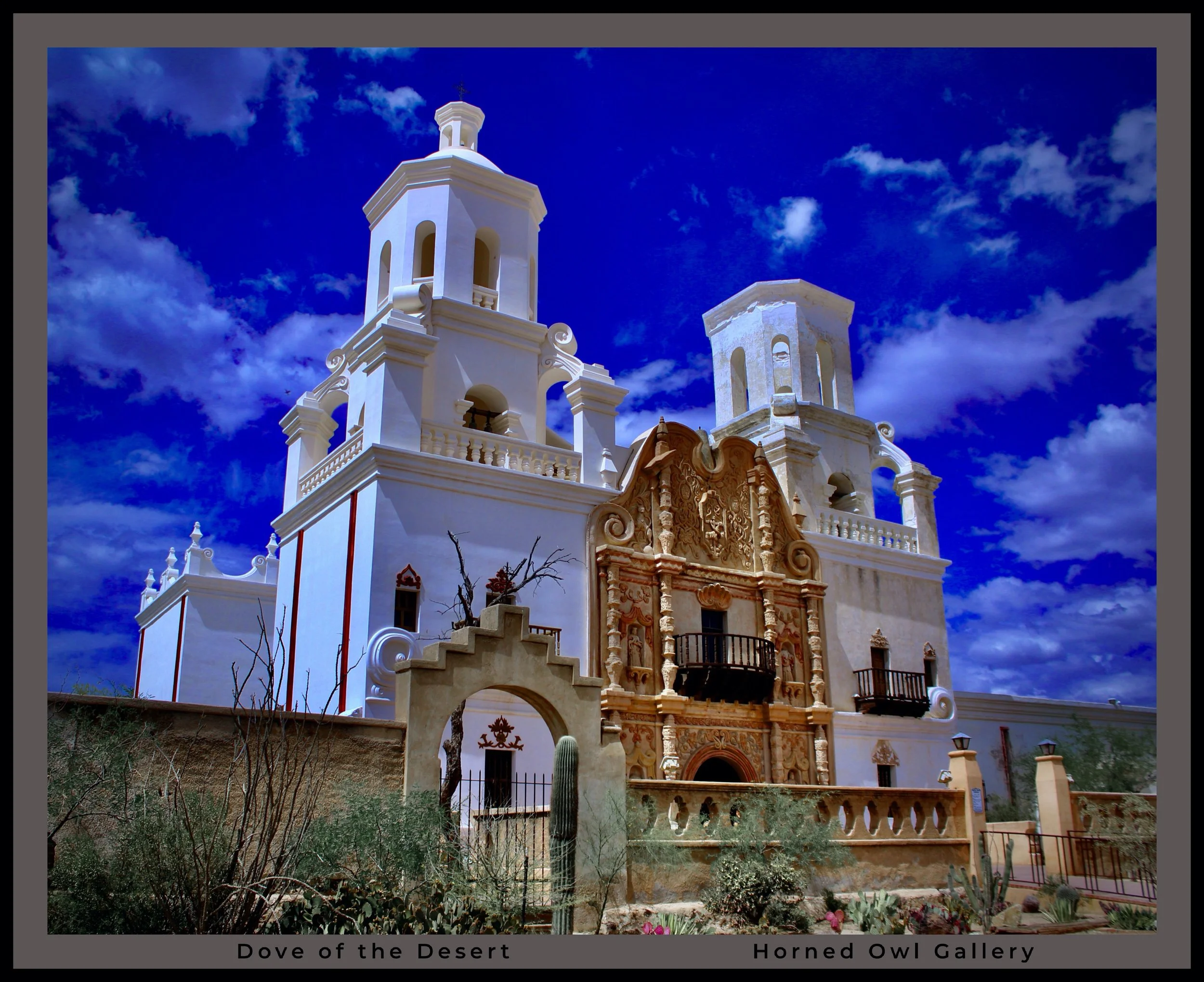 IMG_8313 (7) logo.jpg