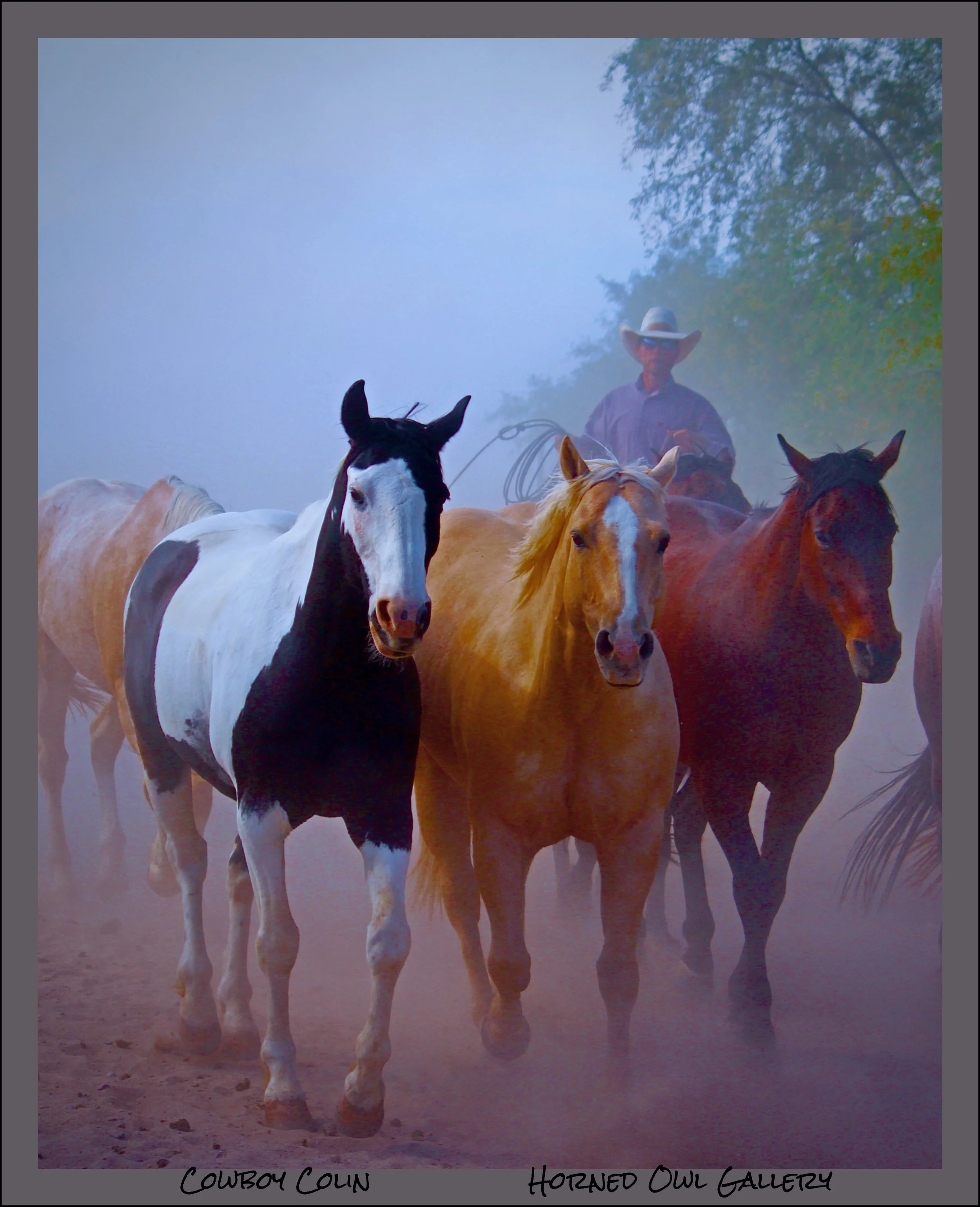 IMG_8704 master logo-2.jpg