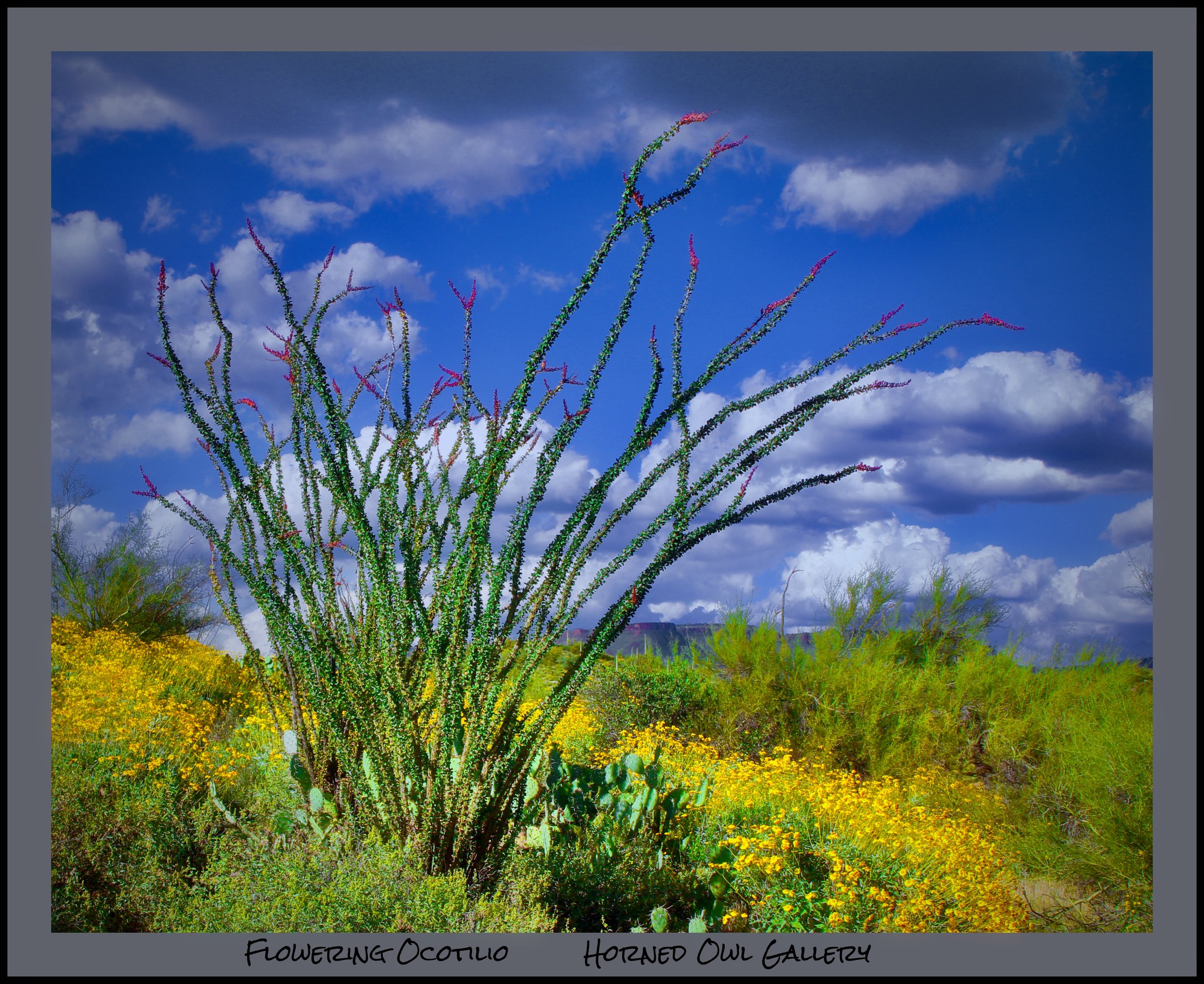 IMG_6953 (1) logo.jpg