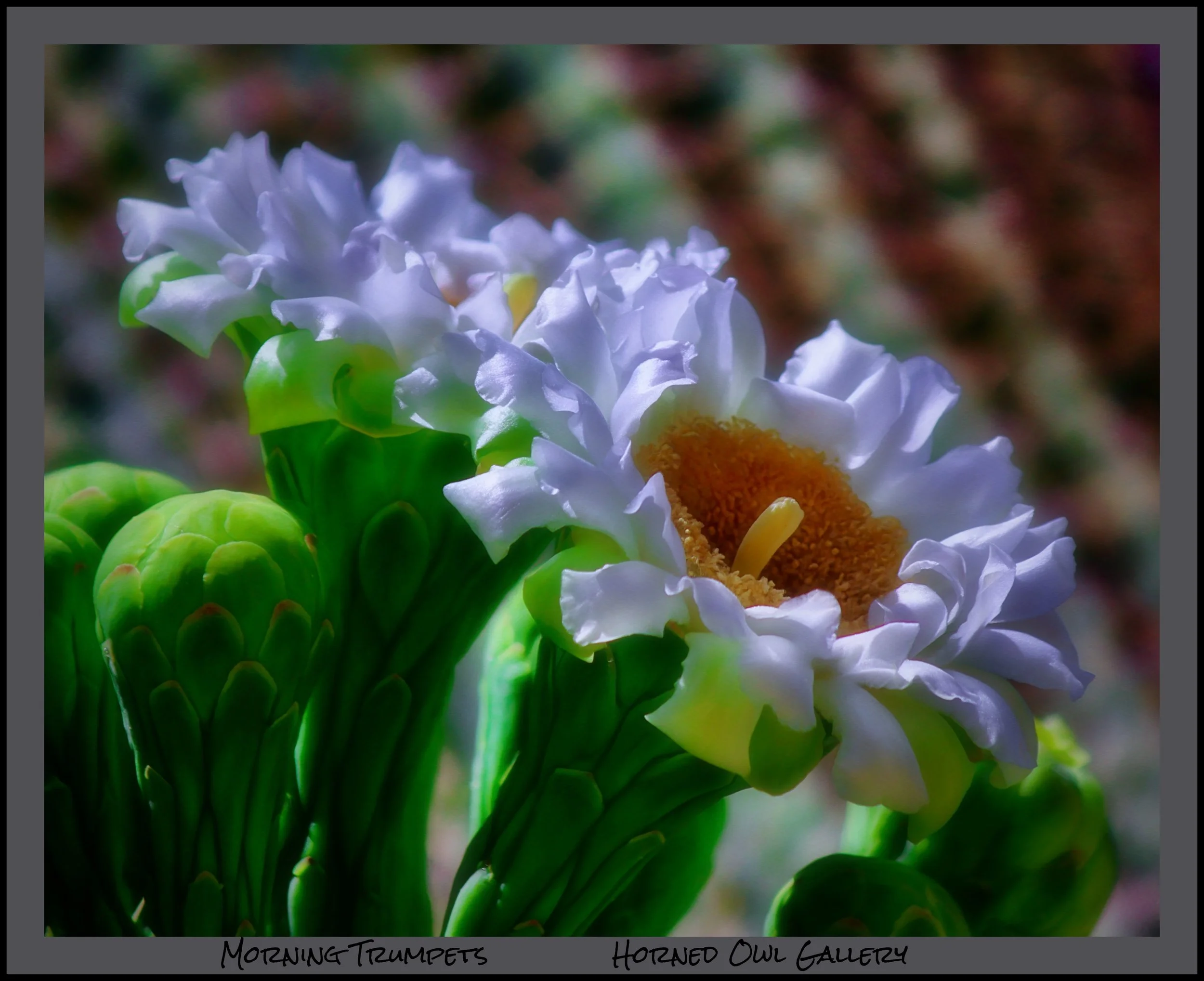 IMG_6348 master logo.jpg