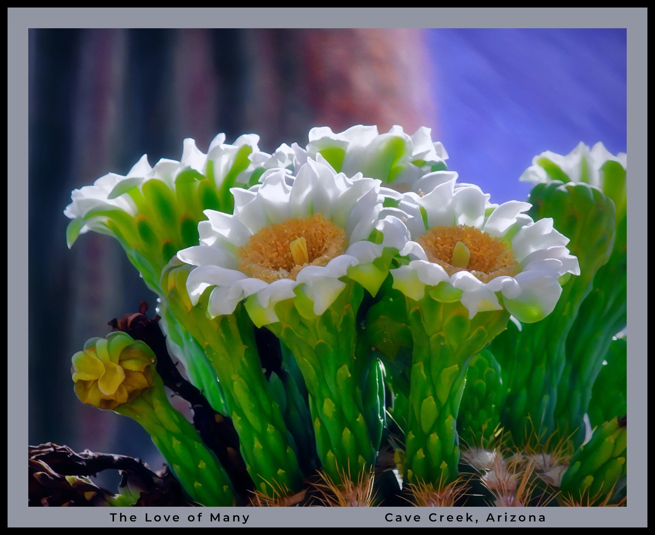 IMG_6831 (2) oil logo.jpg