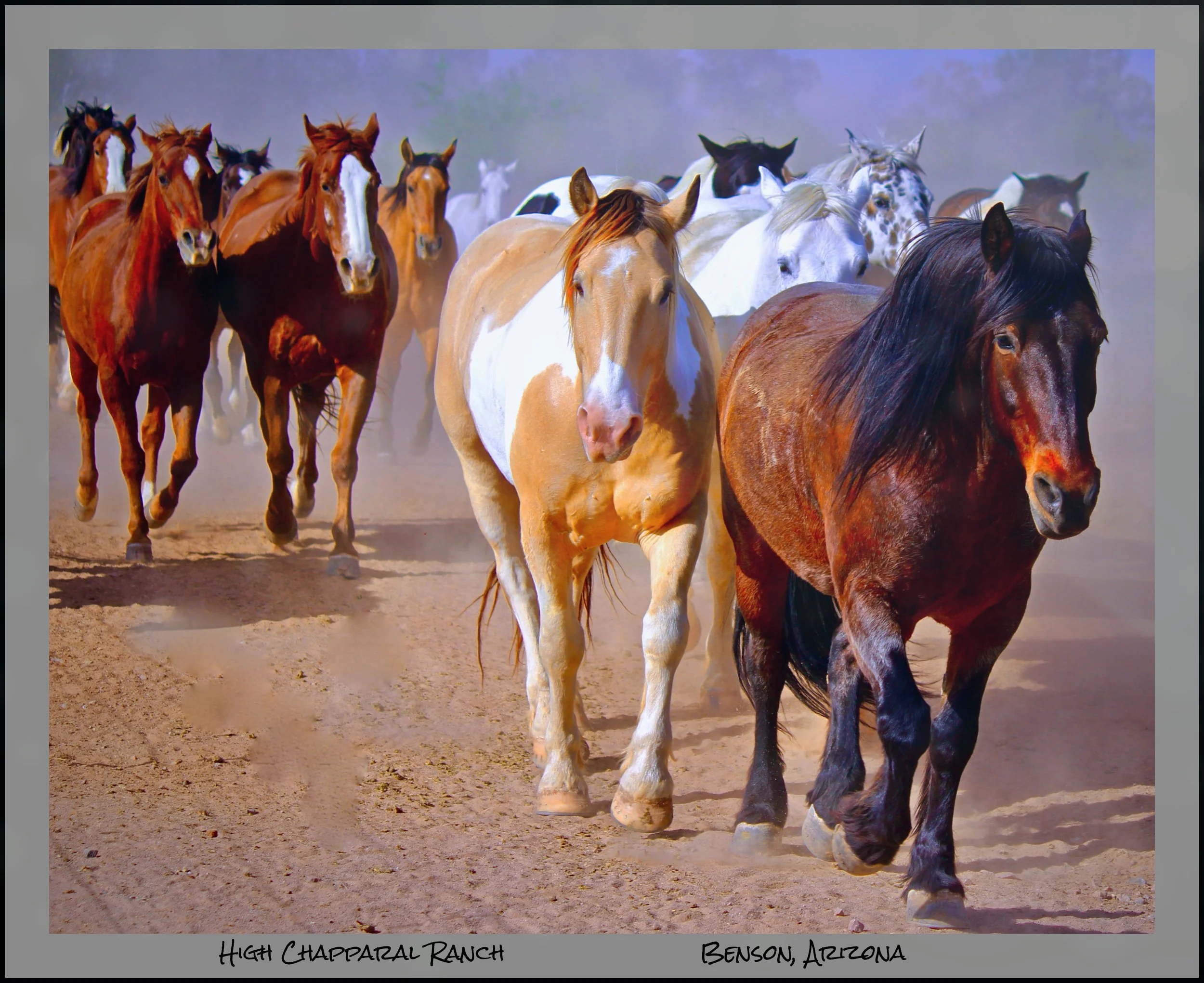 IMG_1743 (13) master logo.jpg