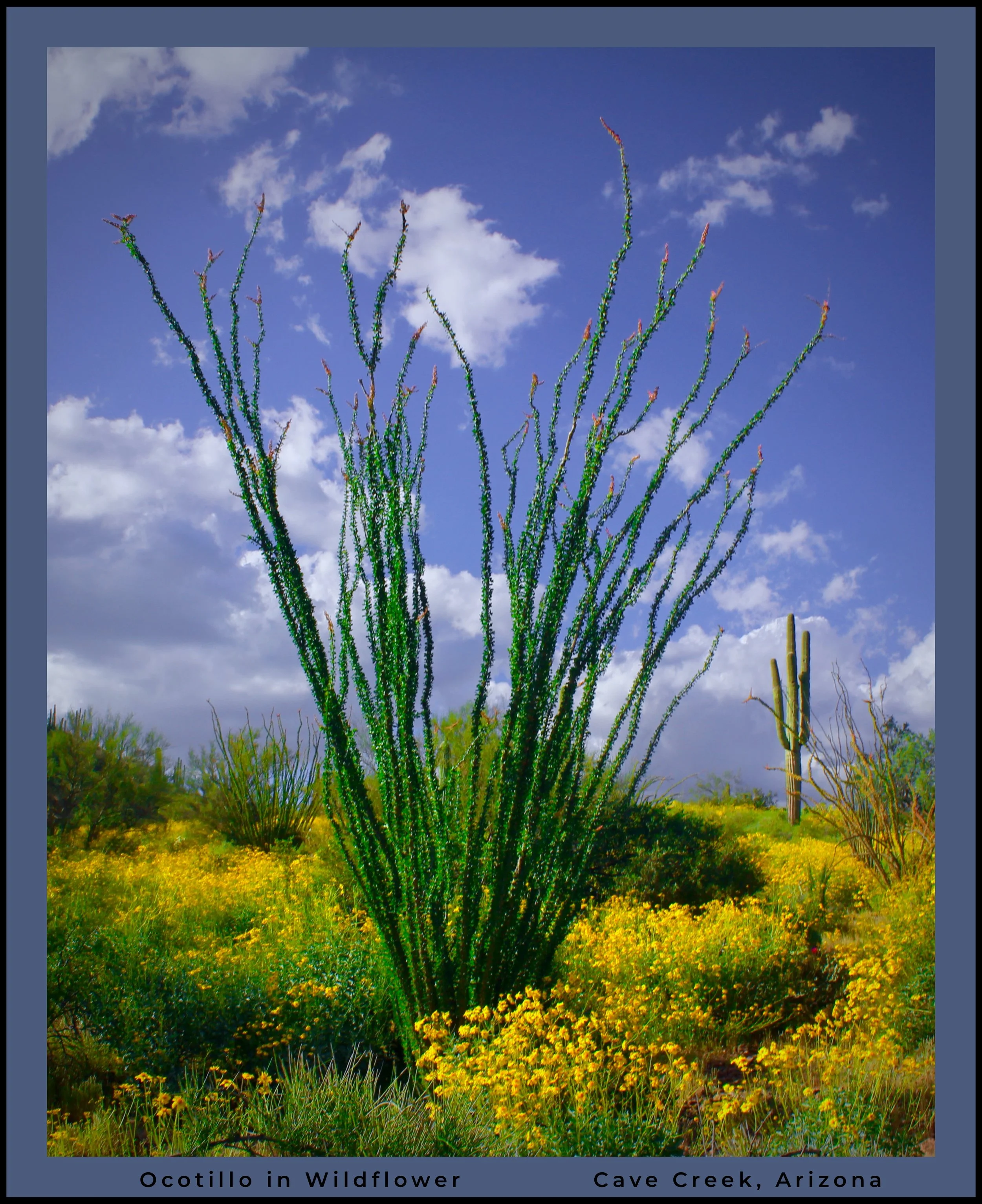 IMG_6966 (7) logo.jpg