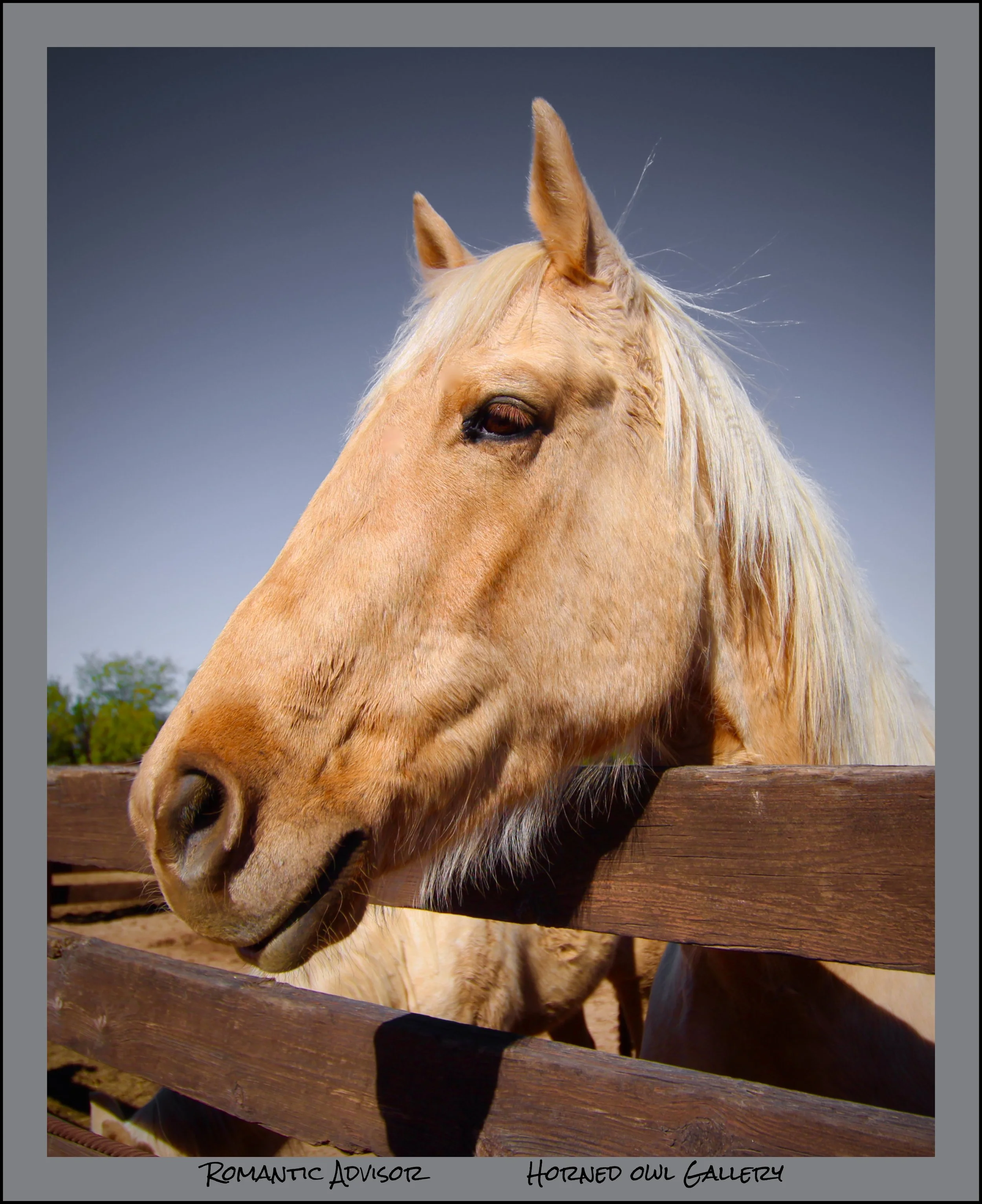 IMG_6143 (3) logo.jpg