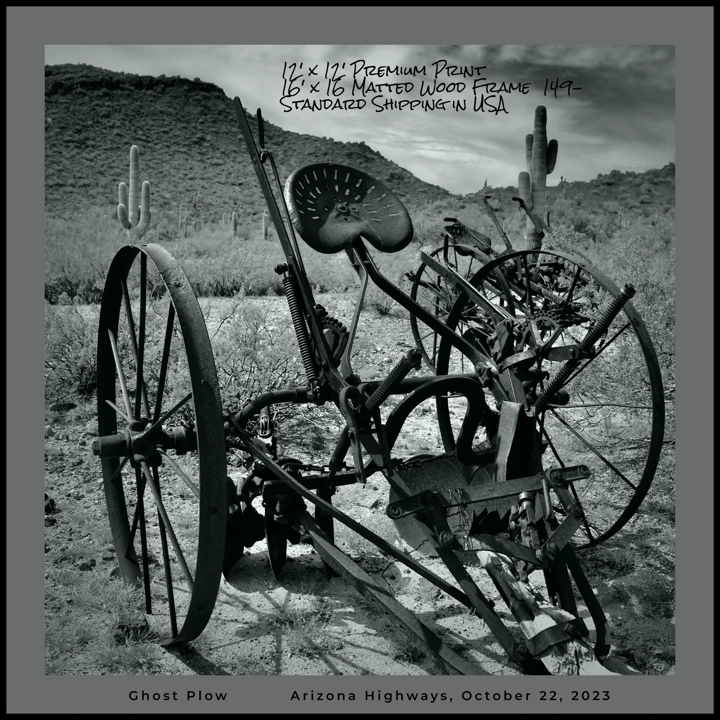 IMG_4582 (11)logo 149.jpg