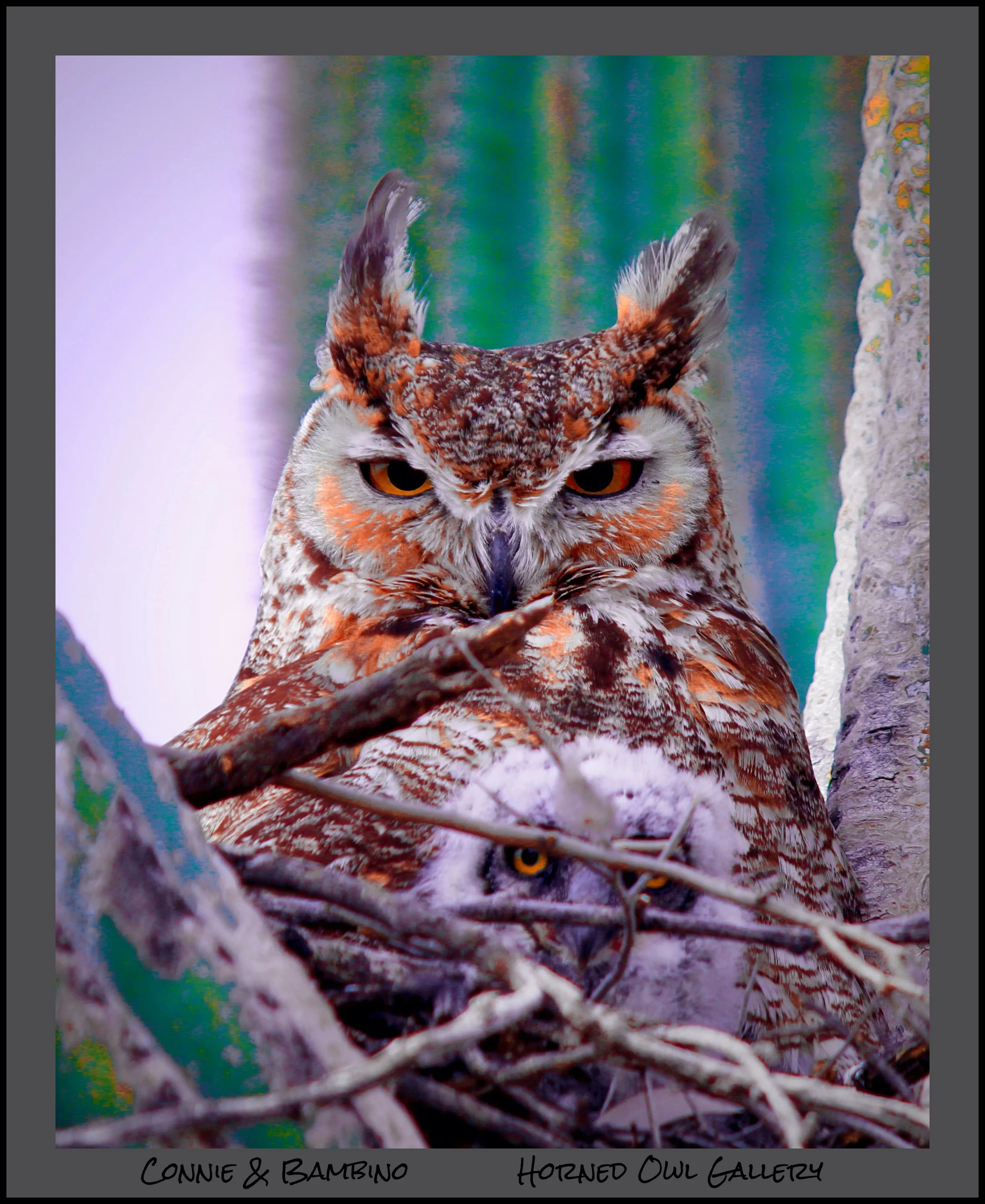 IMG_5138 (2) logo.jpg