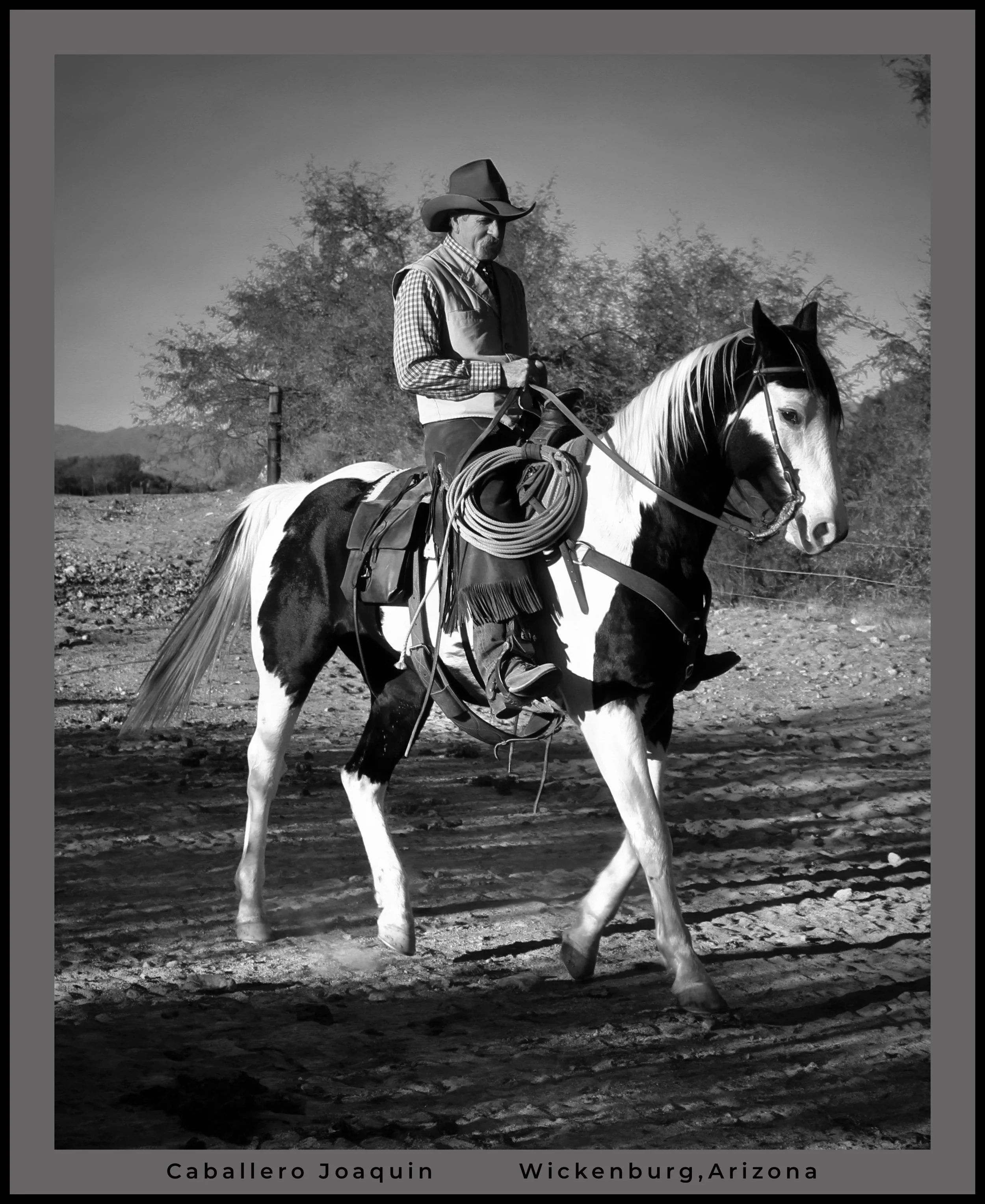 IMG_4006 (10) logo.jpg