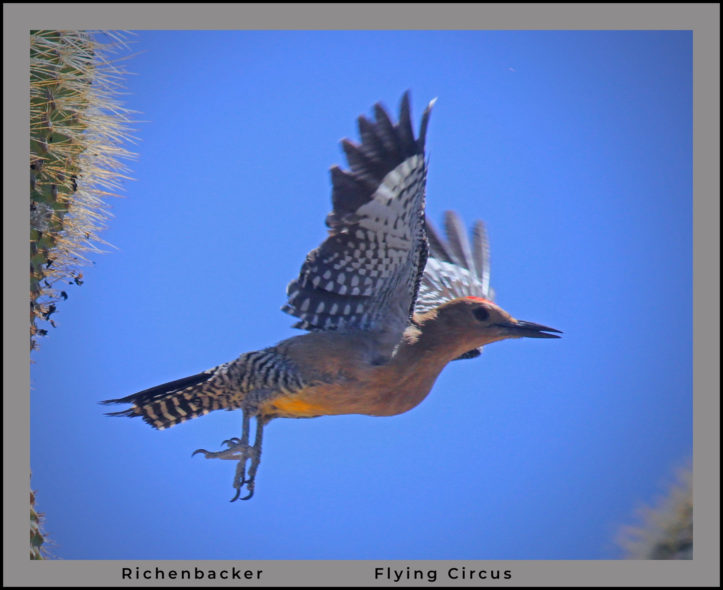 IMG_9681 (1) logo.jpg