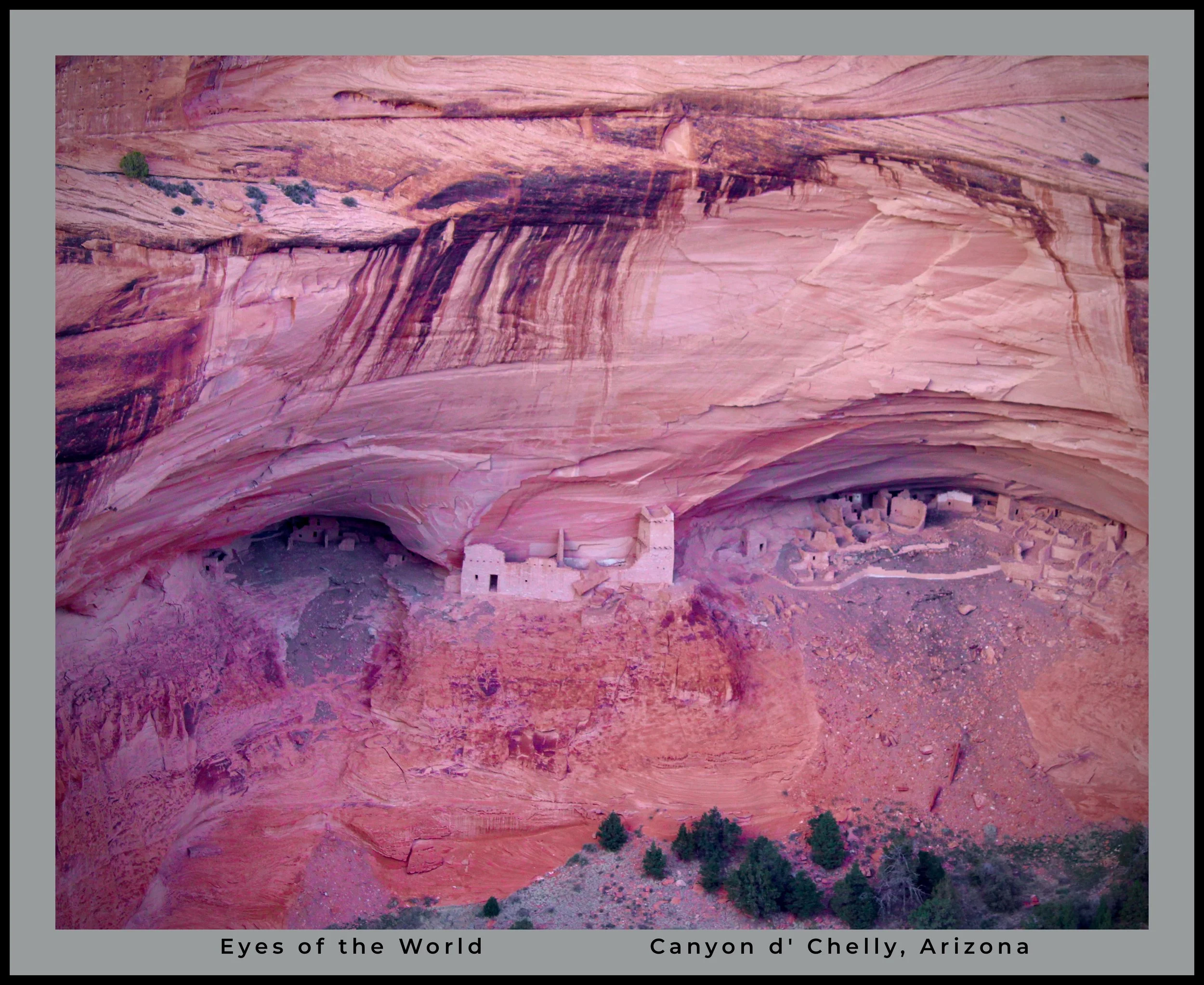 IMG_4814 (1) logo.jpg