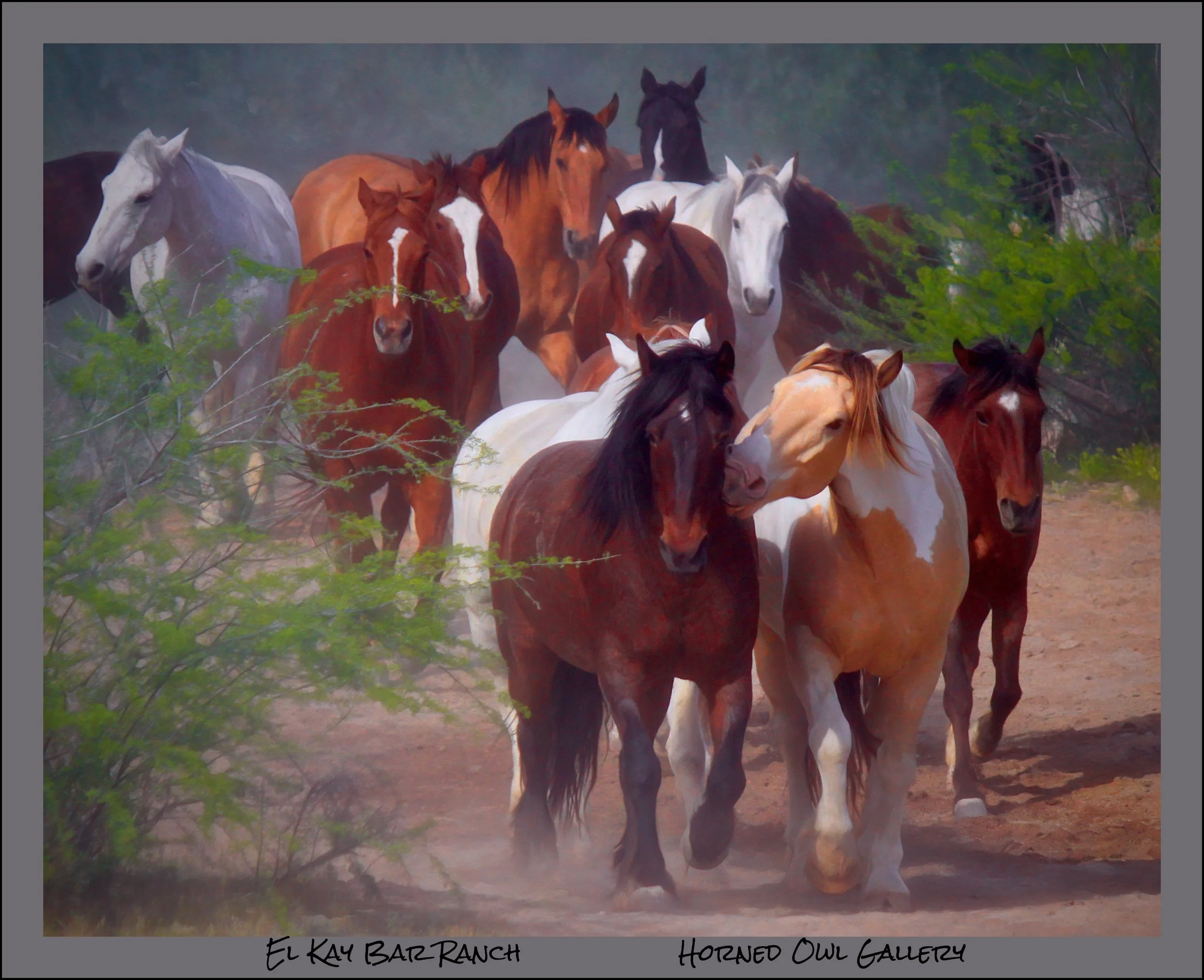 IMG_1604 master logo.jpg