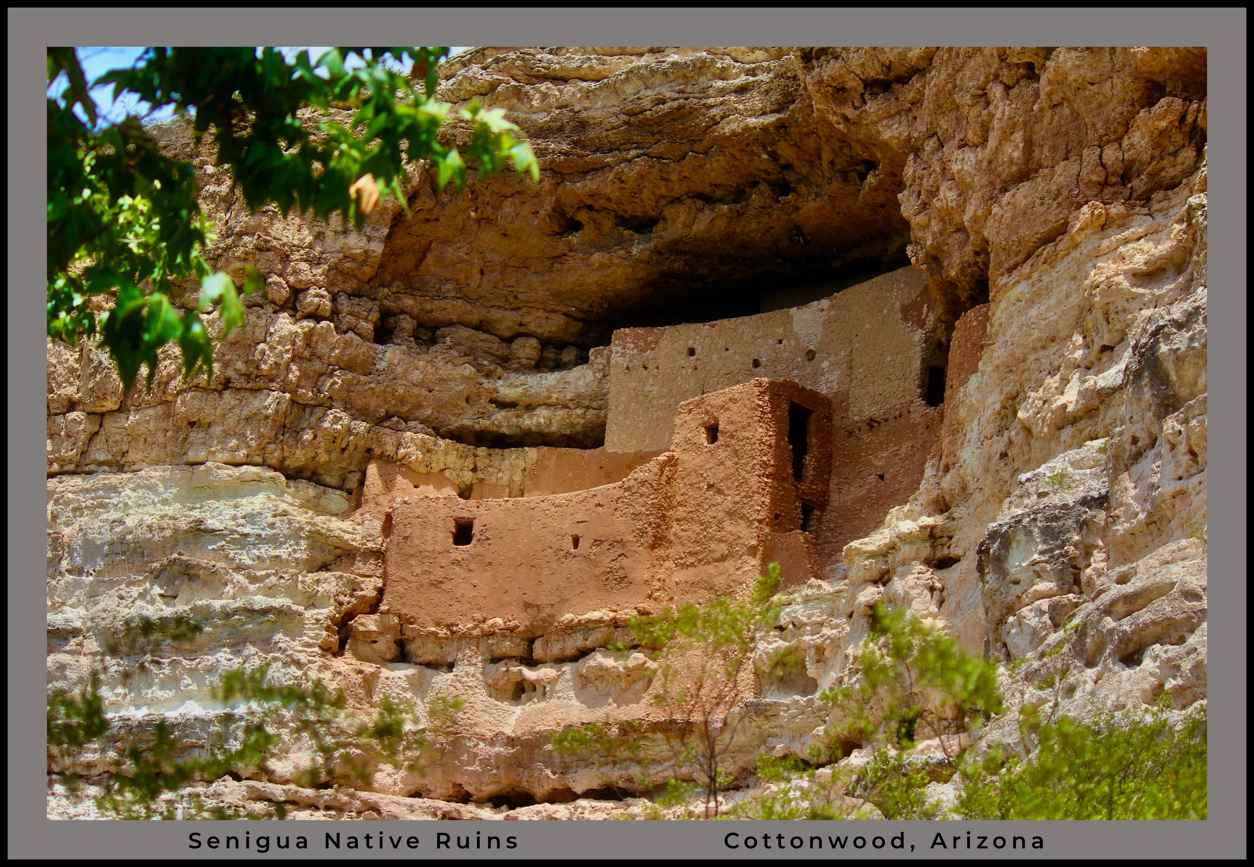 IMG_0378 (1) logo.jpg