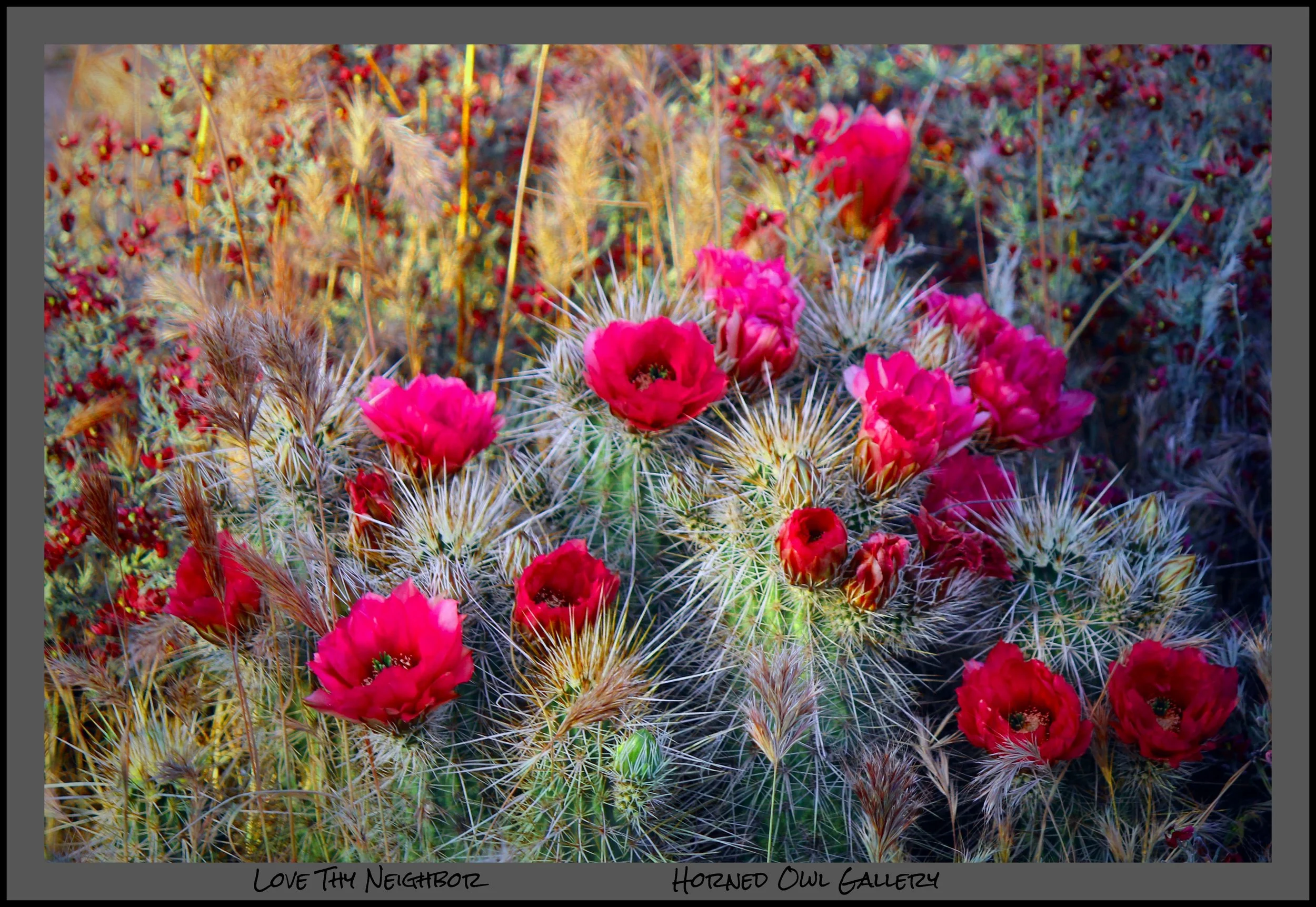 IMG_7545 (1) logo.jpg