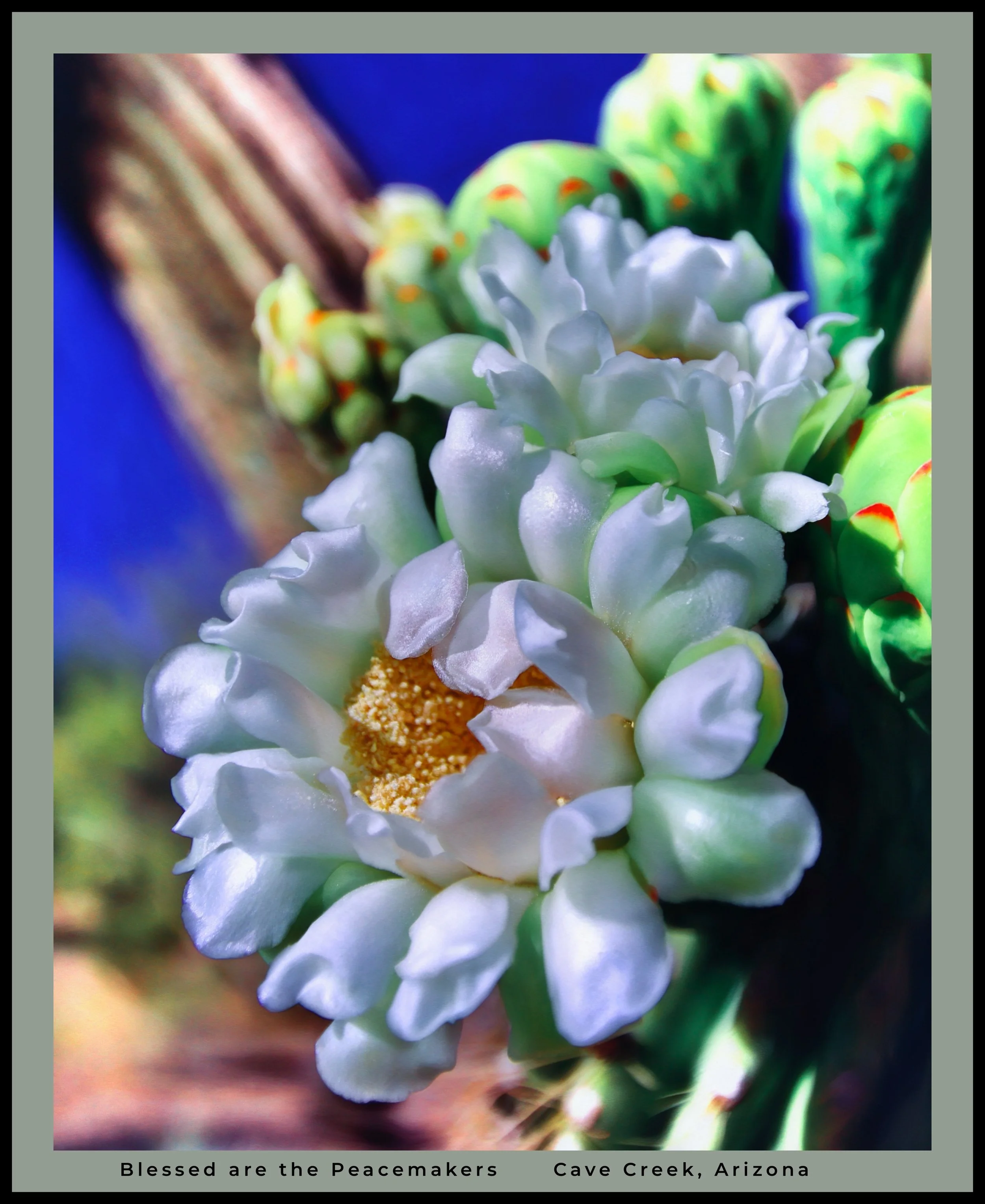 IMG_7592 (25) master logo.jpg