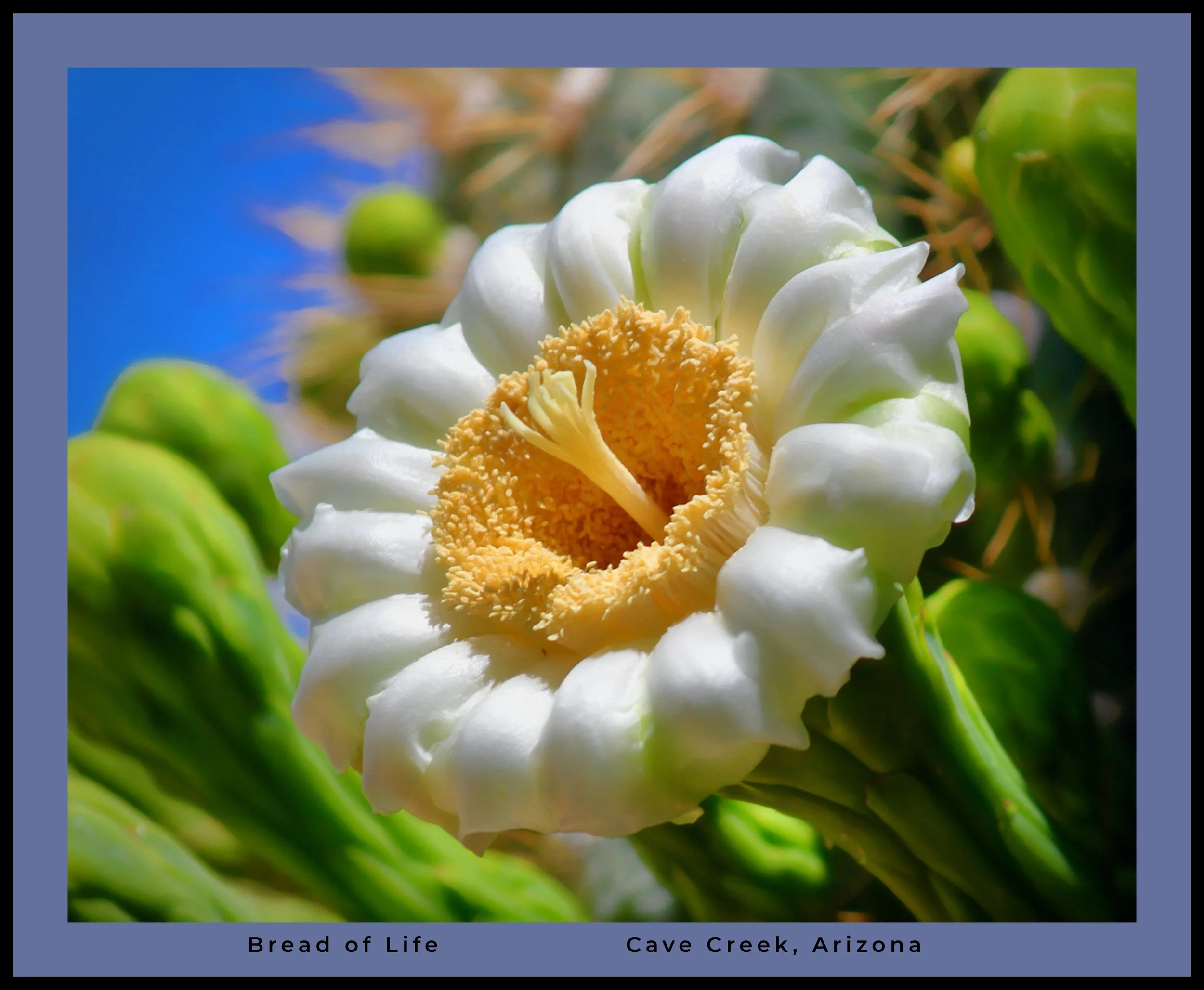 IMG_7724 oil logo.jpg