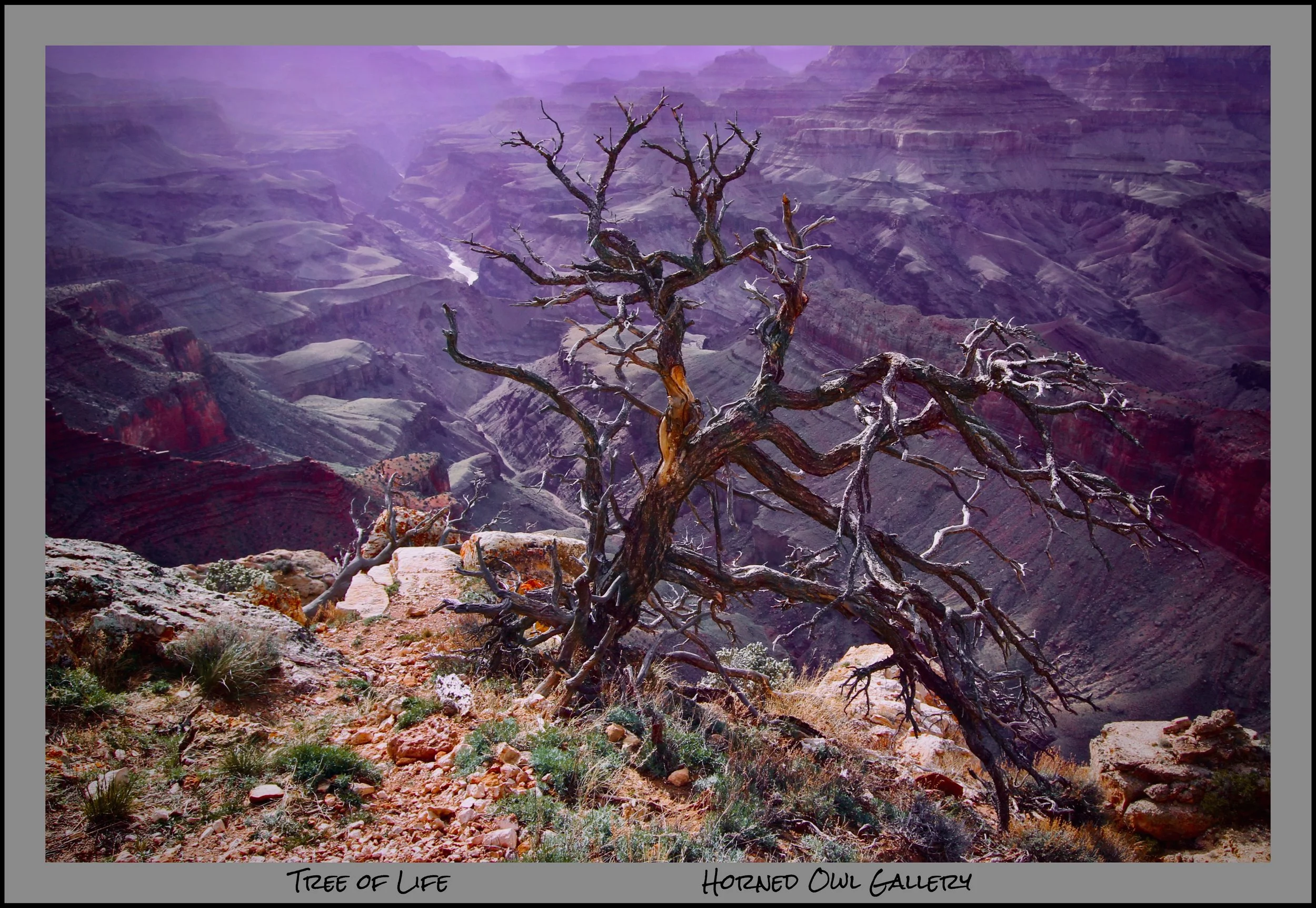 IMG_4351 (3) logo.jpg