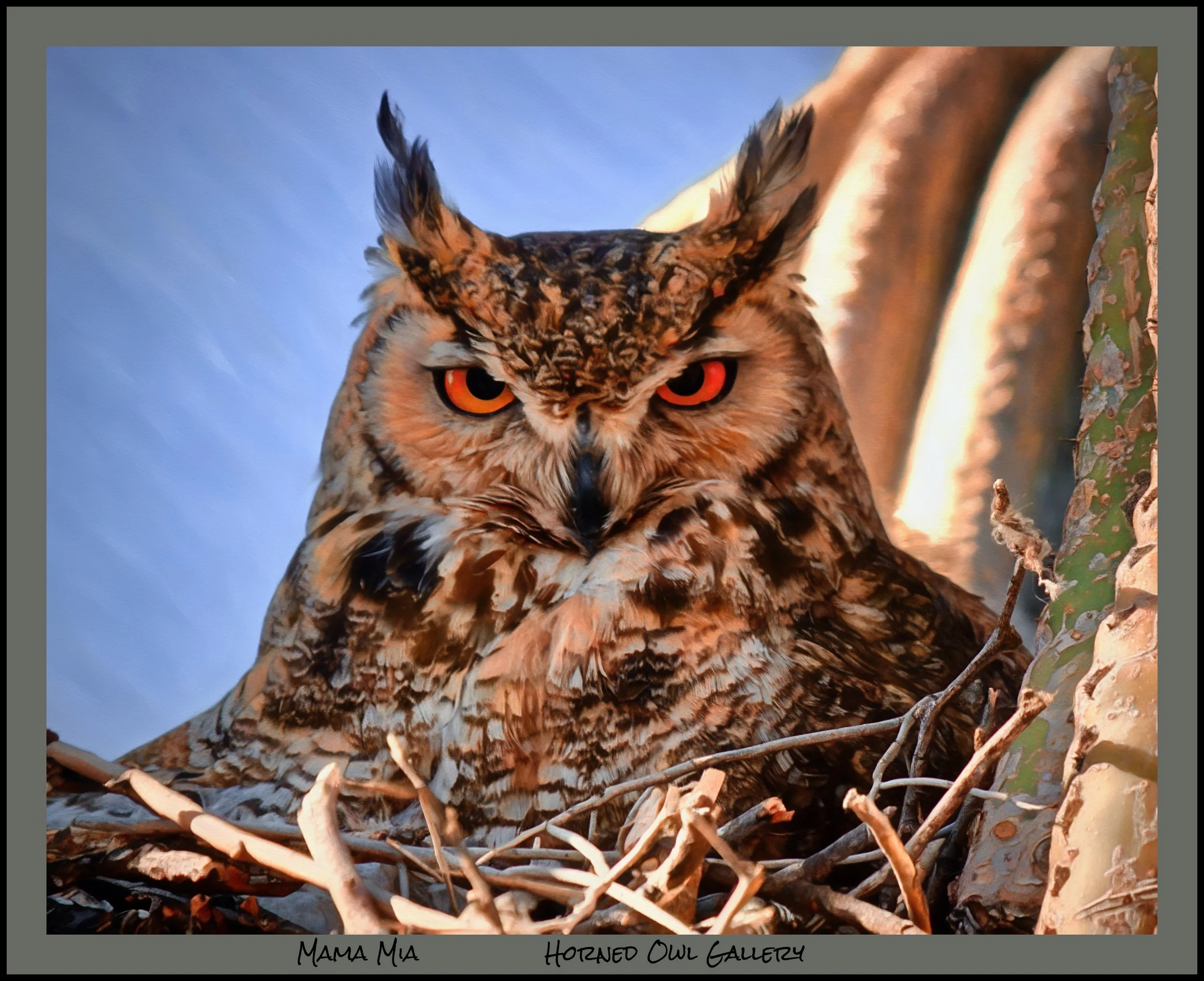 IMG_6743 (2) logo.jpg