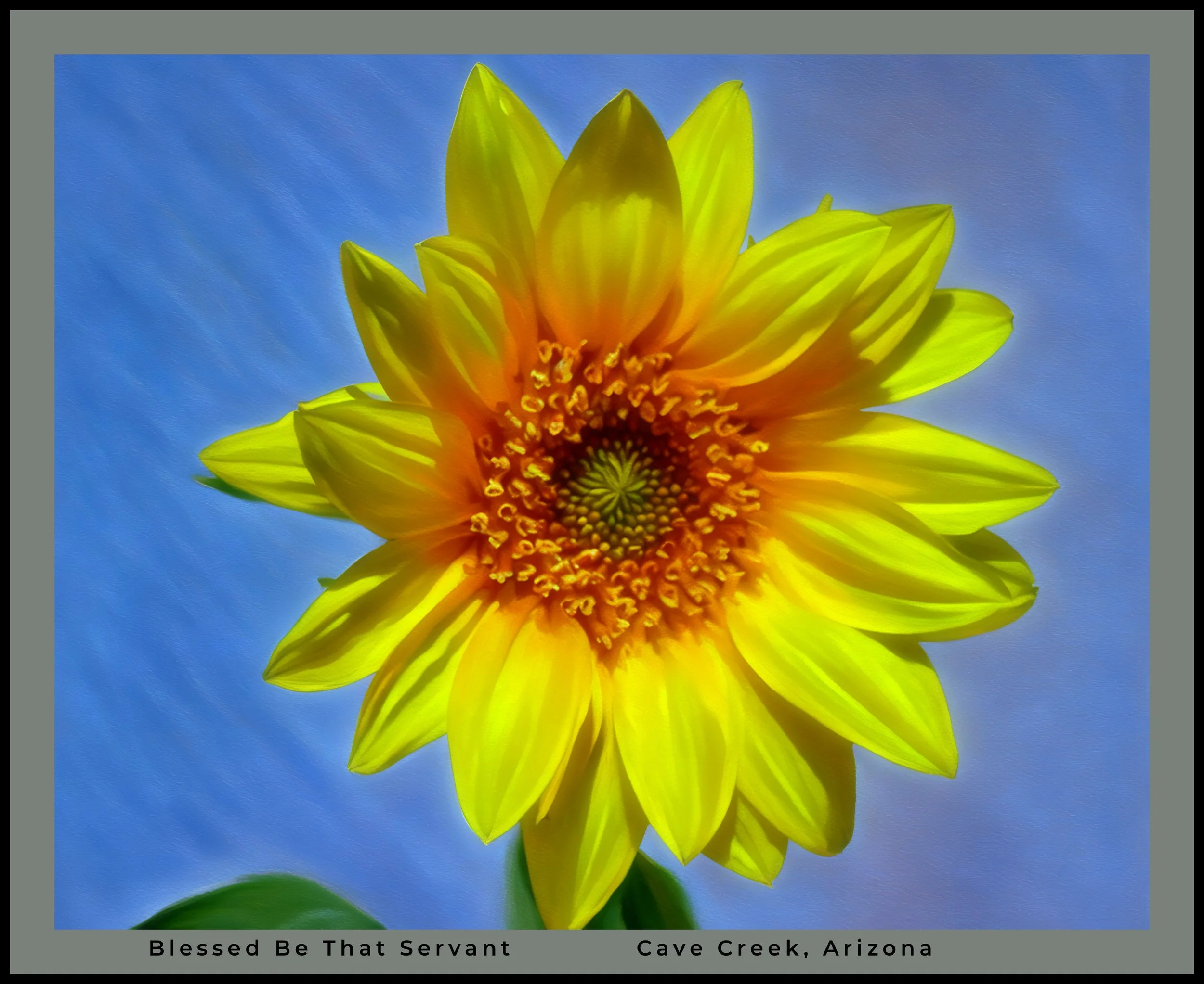 IMG_9380 master oil logo-2.jpg