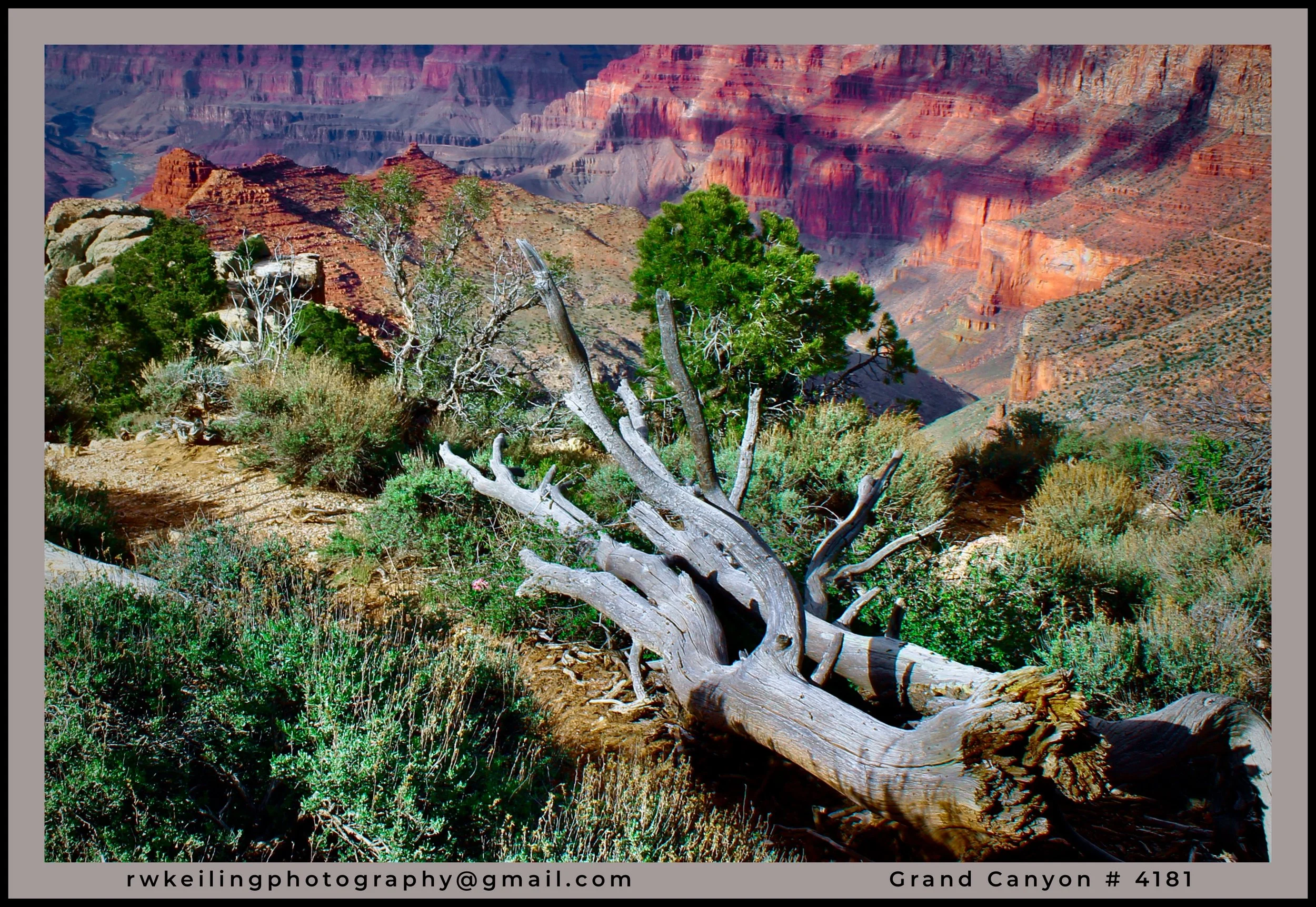 IMG_4181 (2) logo.jpg