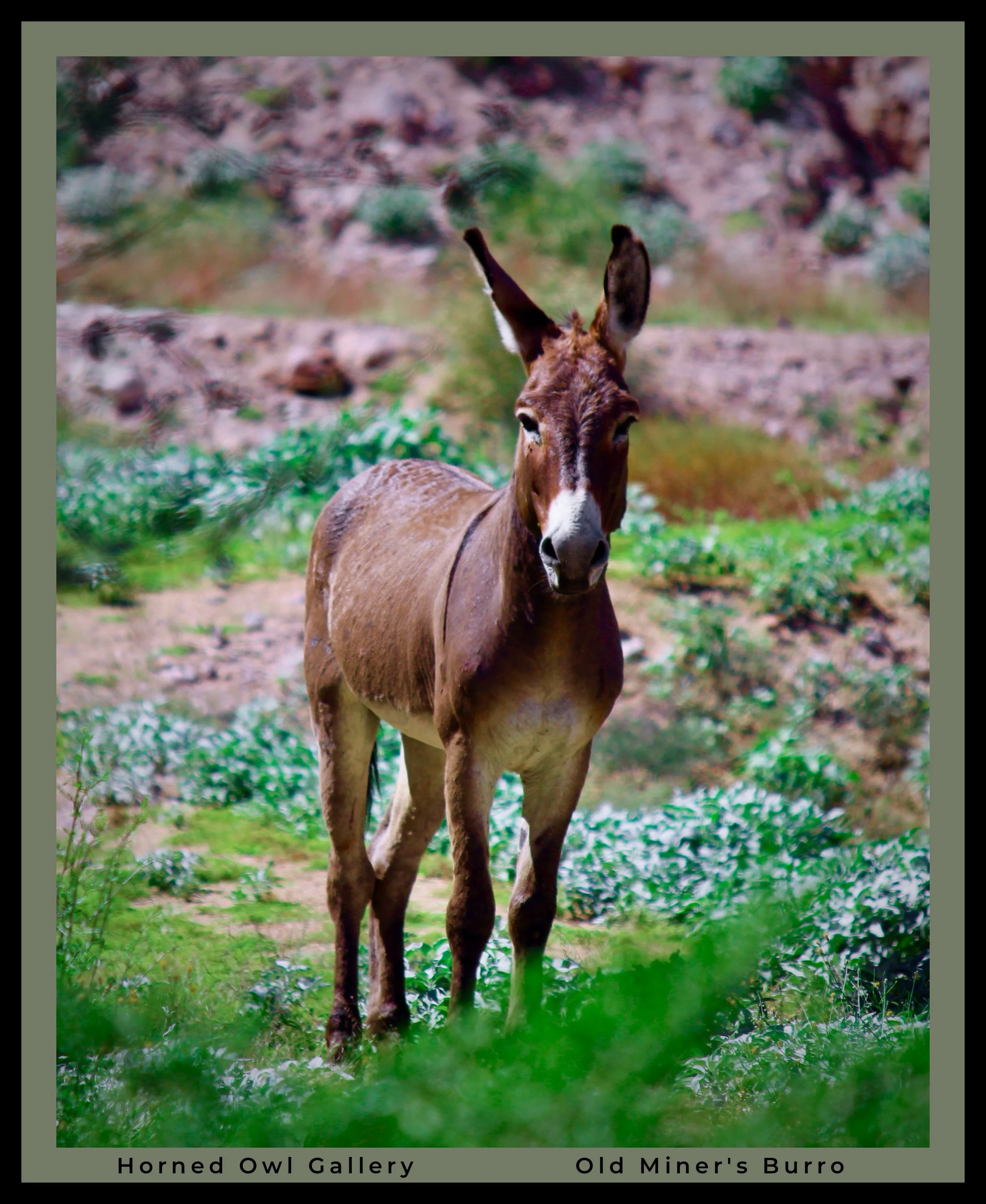 IMG_4505 (22) logo.jpg