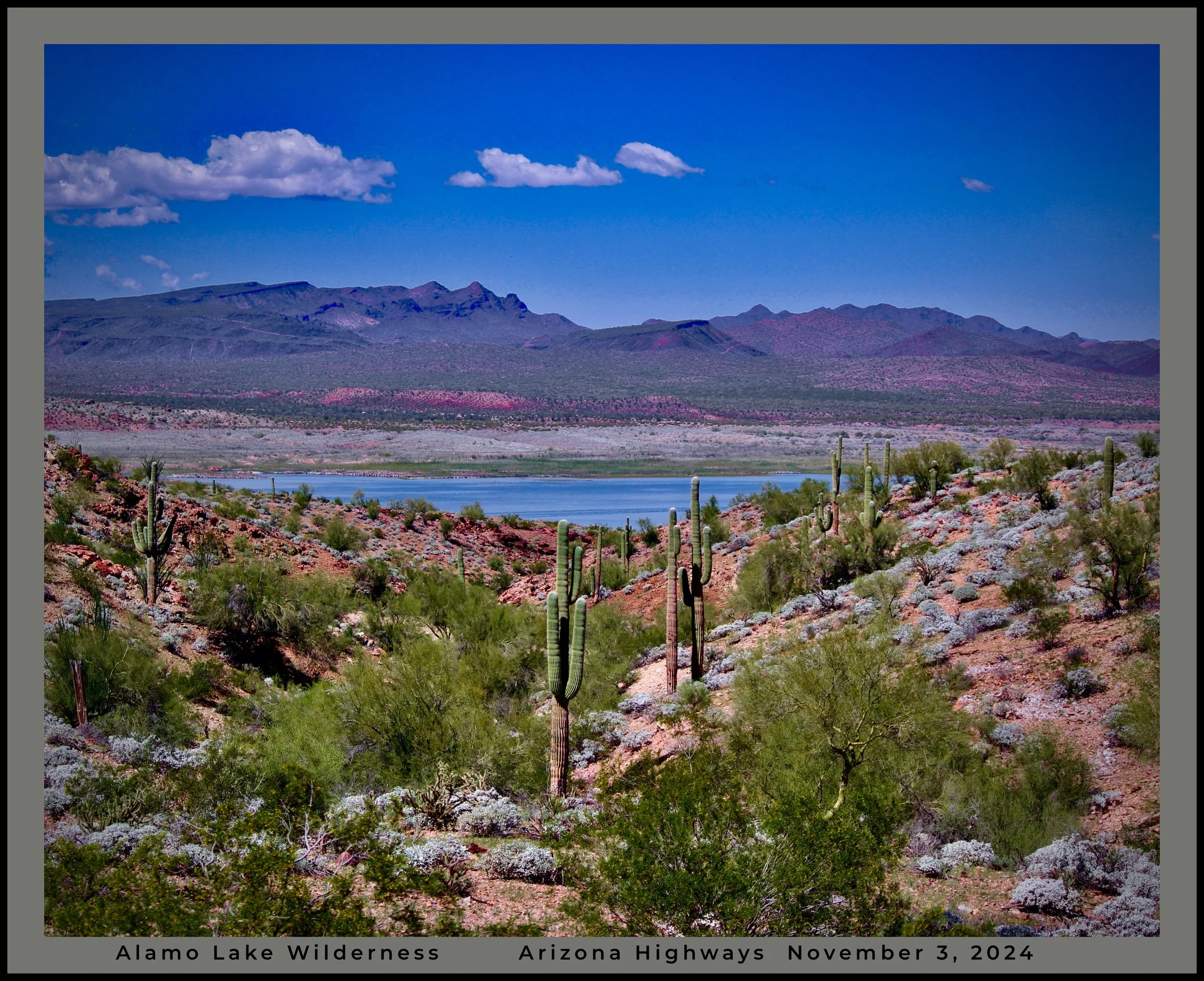 IMG_8817 (7) az logo.jpg