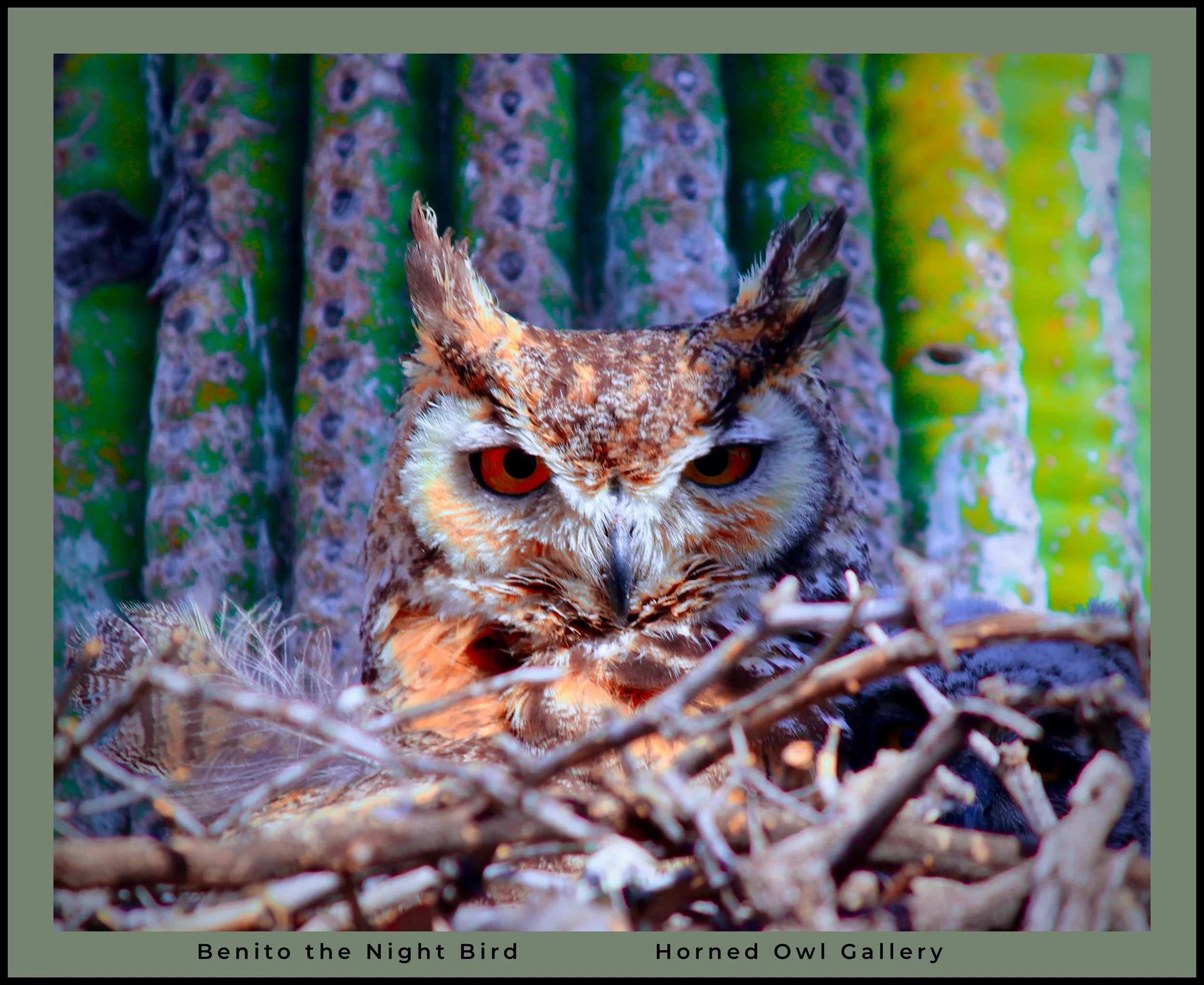 IMG_6720 (1) logo.jpg