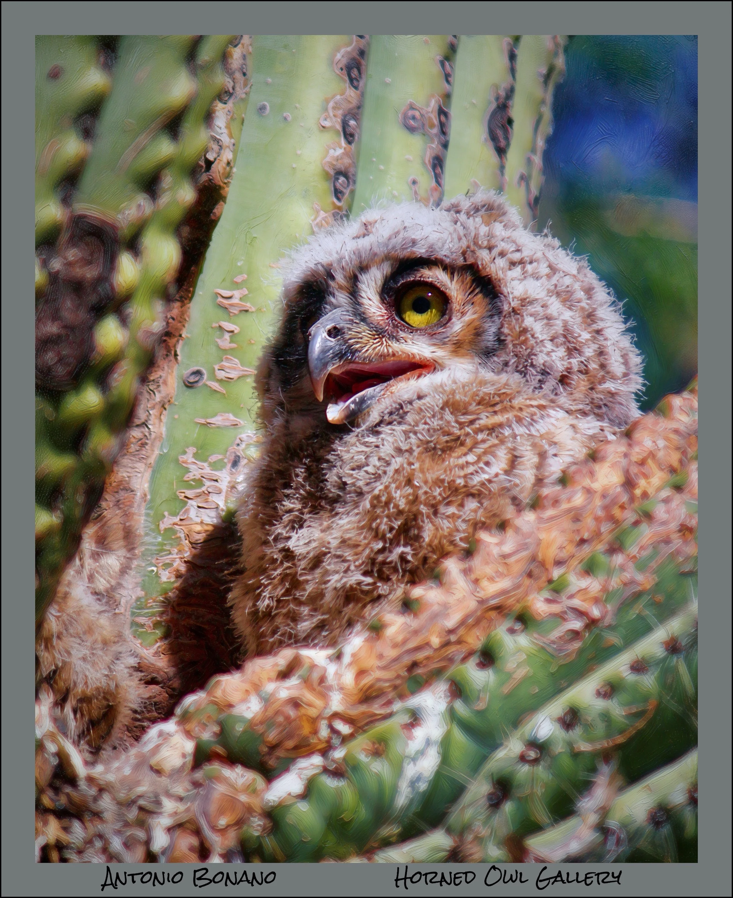 IMG_0153 (1) master logo.jpg