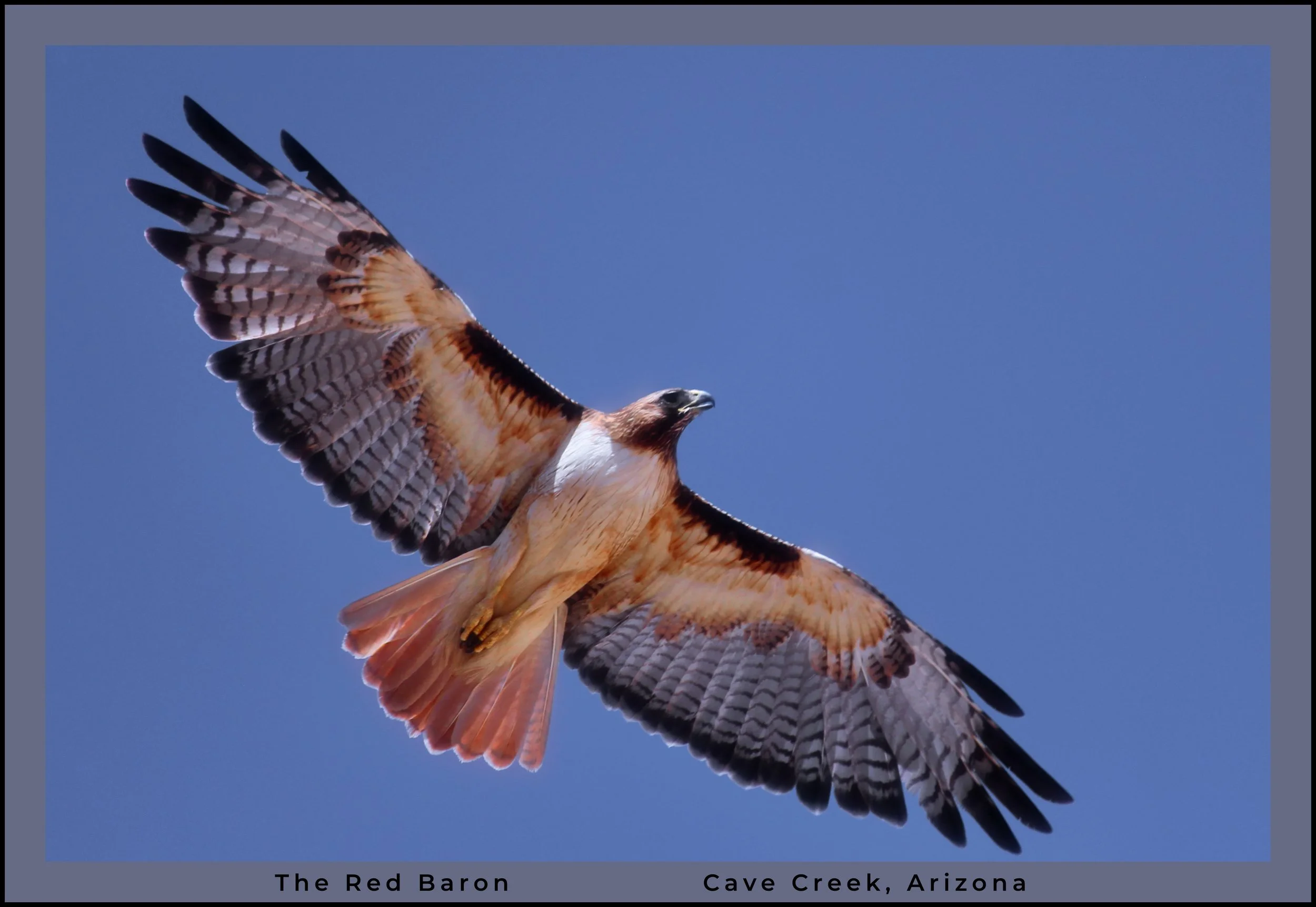 IMG_8456 oil logo.jpg