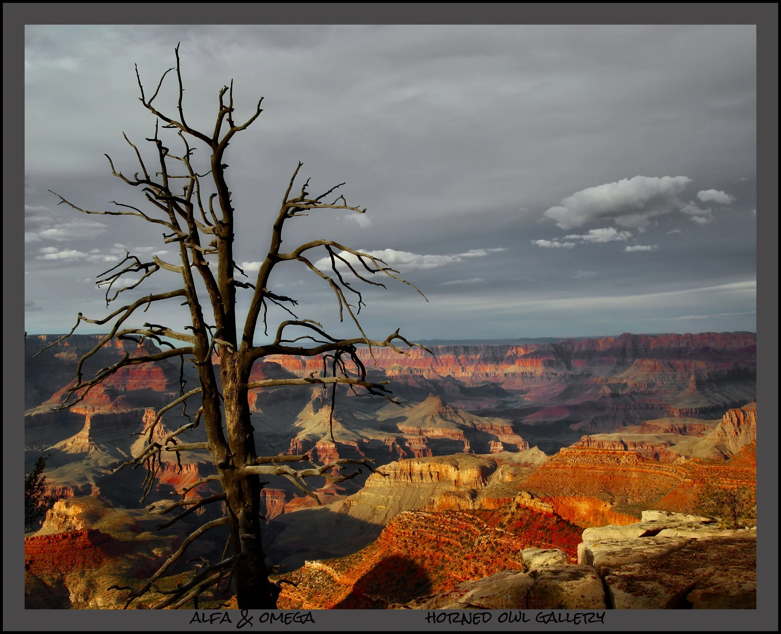 IMG_4575 (8) master logo.jpg