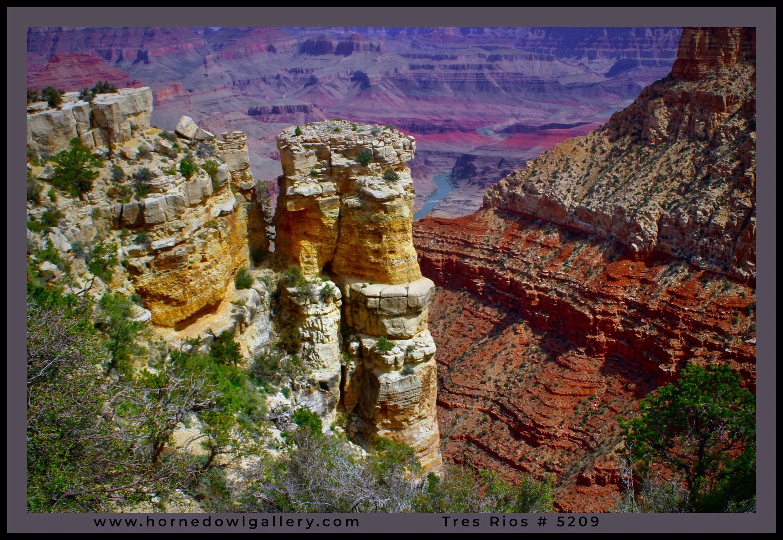 IMG_5209 (1) frame logo.jpg