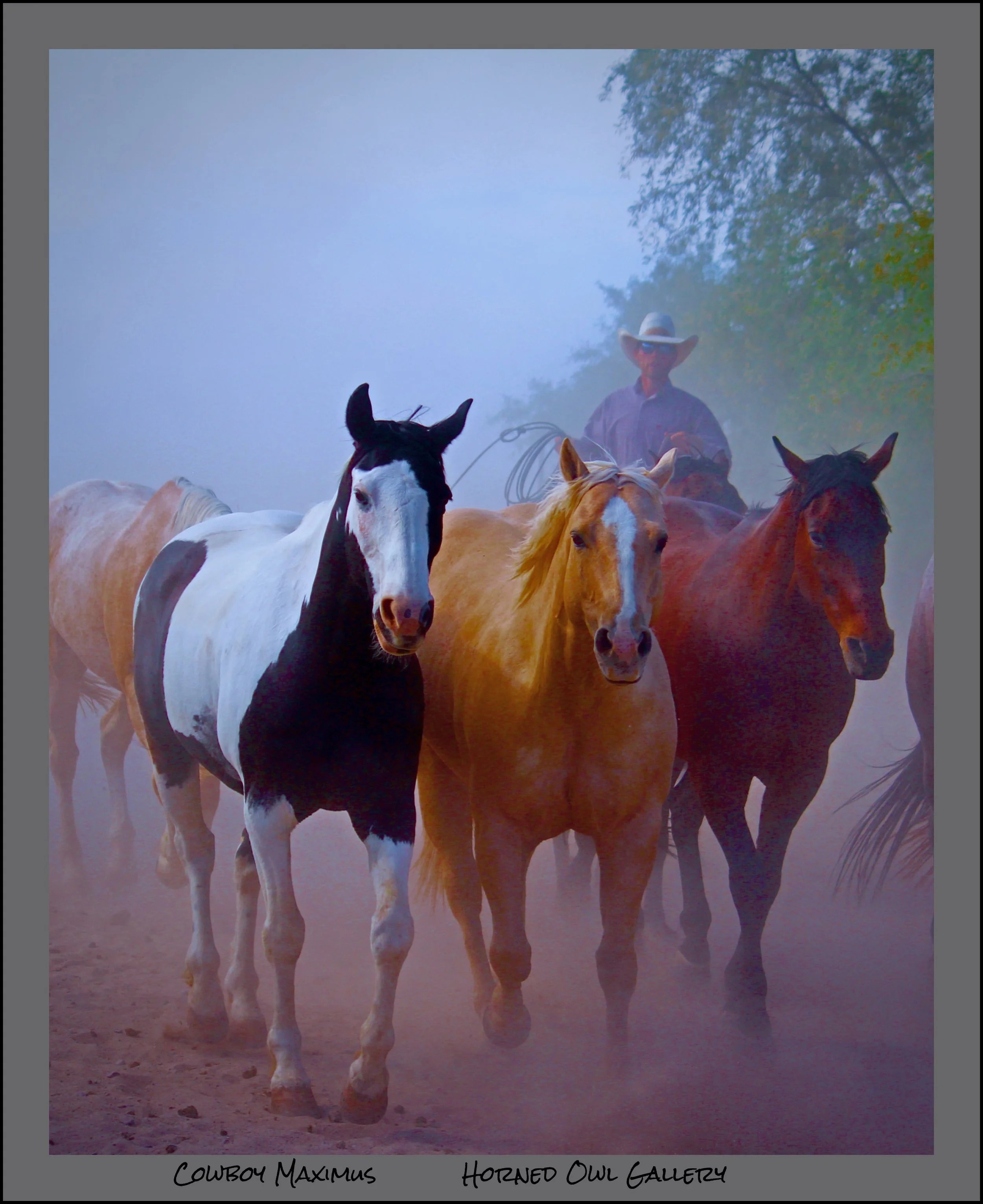 IMG_8704 master logo.jpg