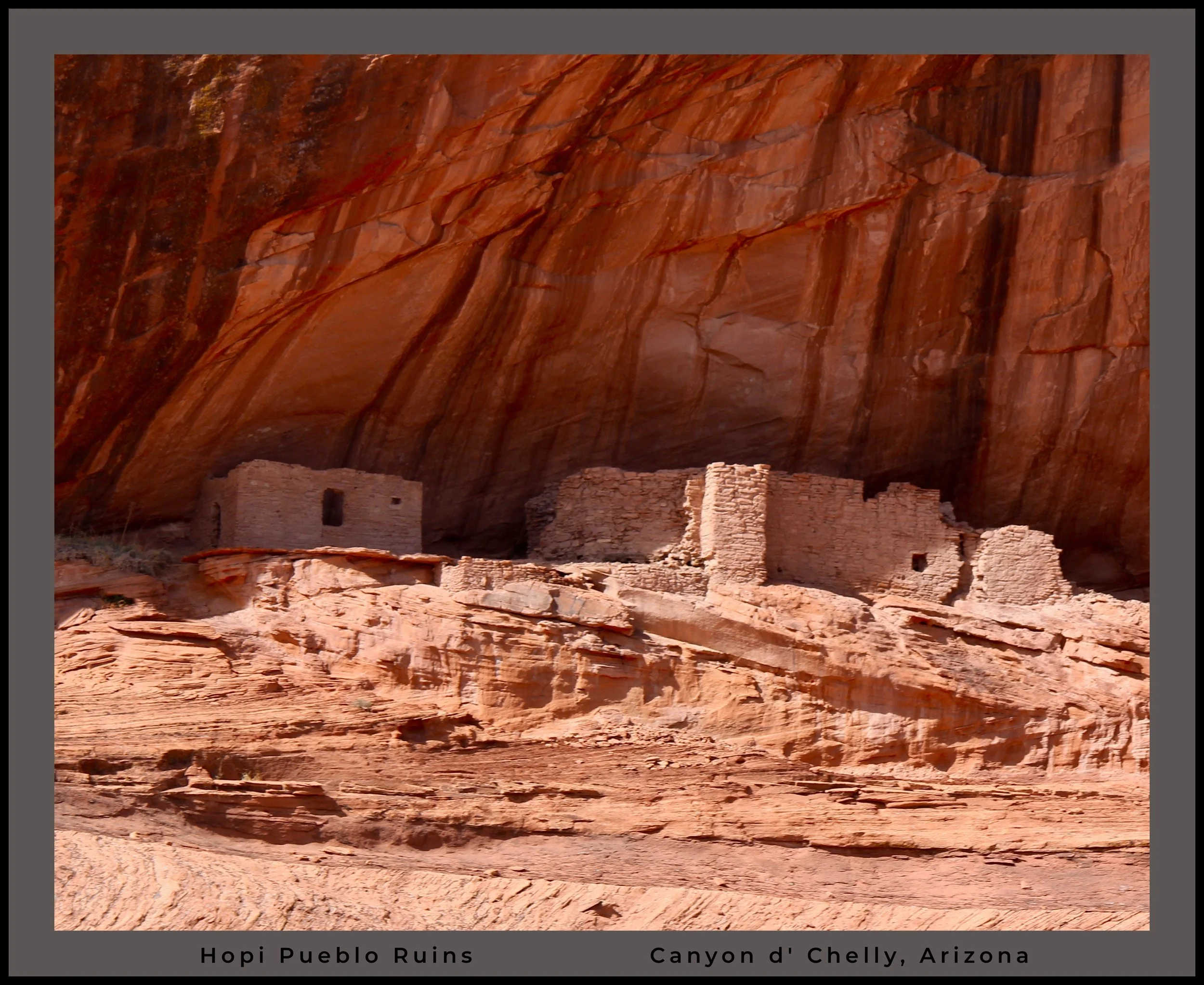 IMG_0188 (1) logo hopi.jpg