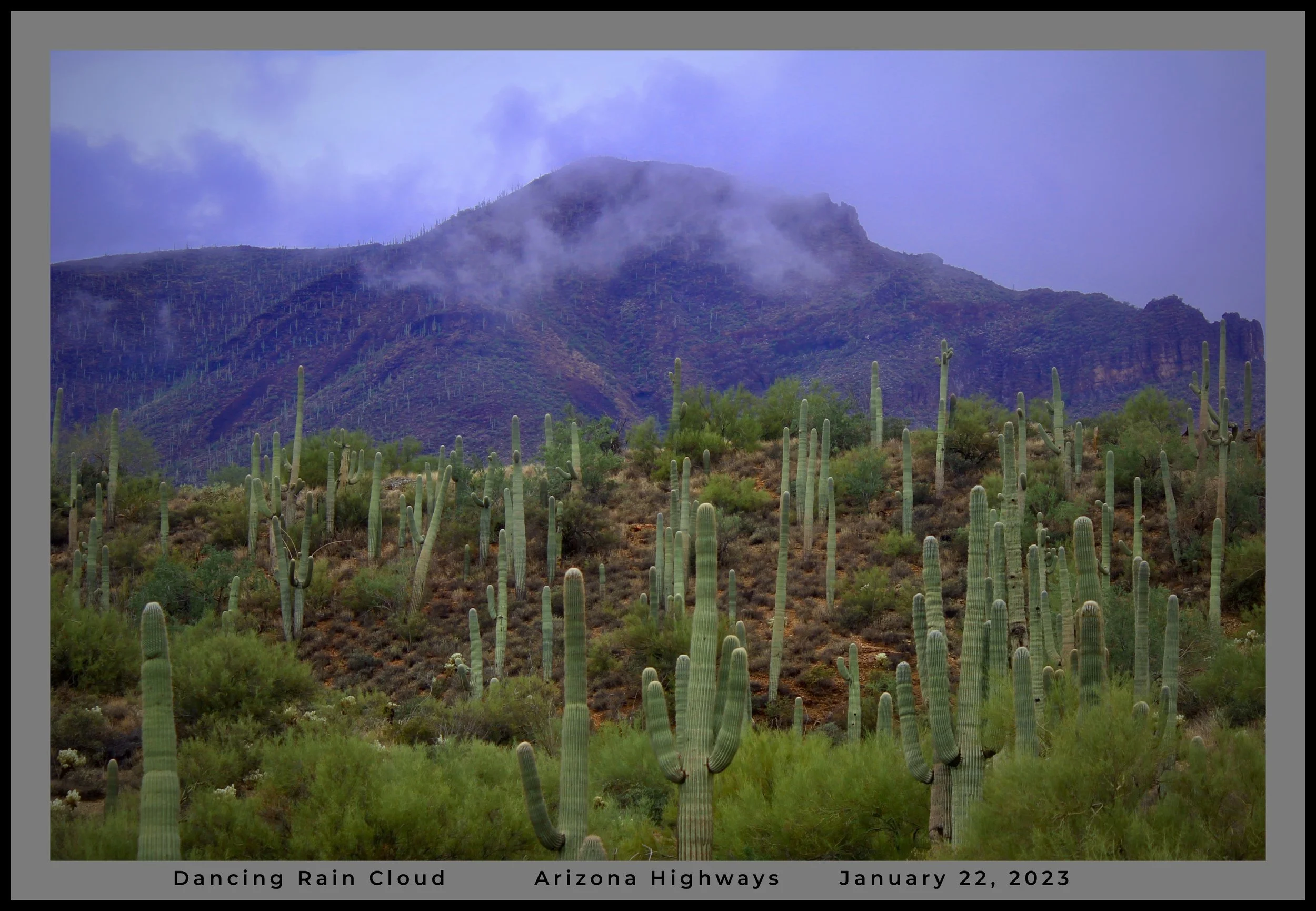 IMG_9935 (1) az logo.jpg