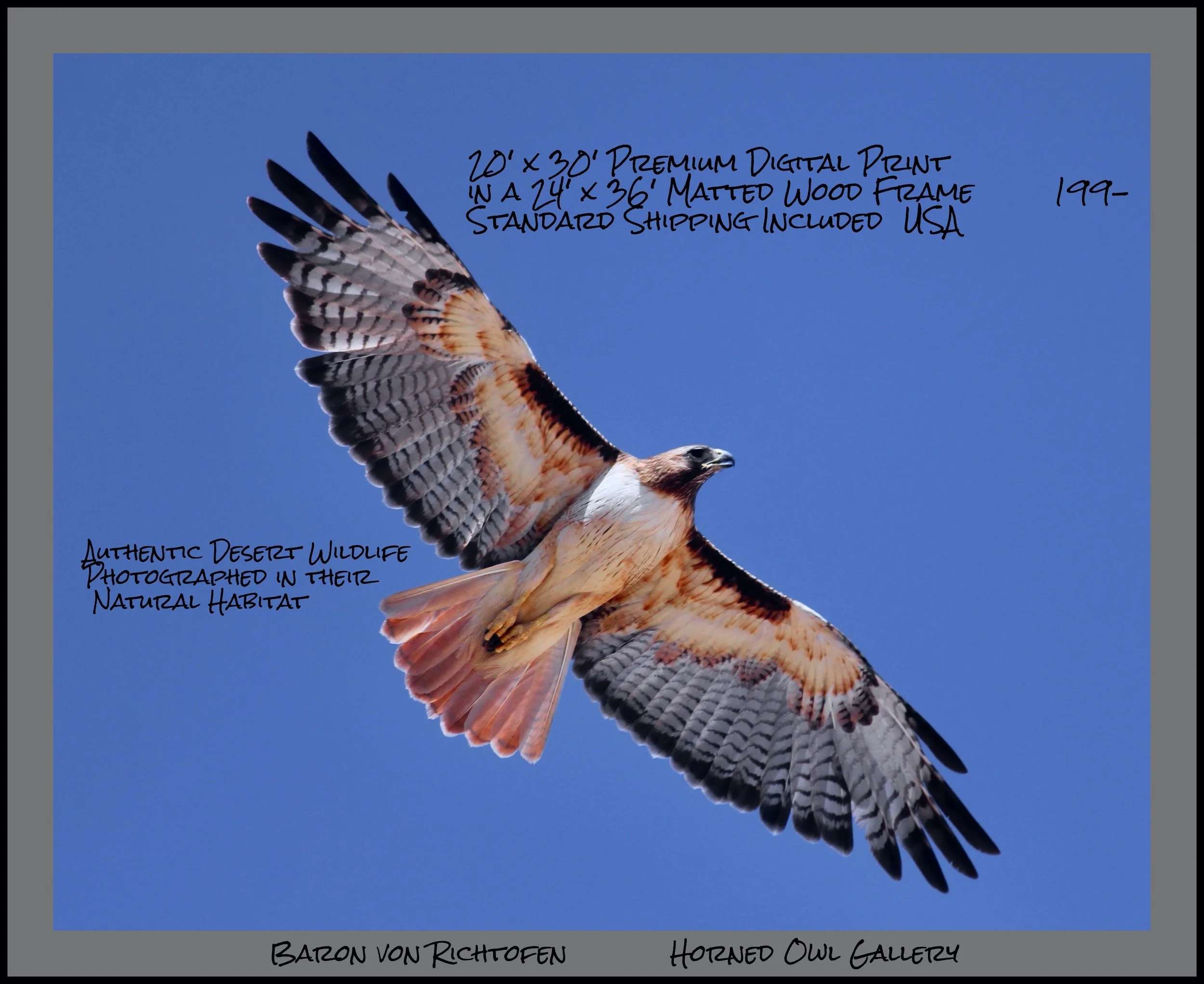 IMG_8456 (33) logo 199.jpg