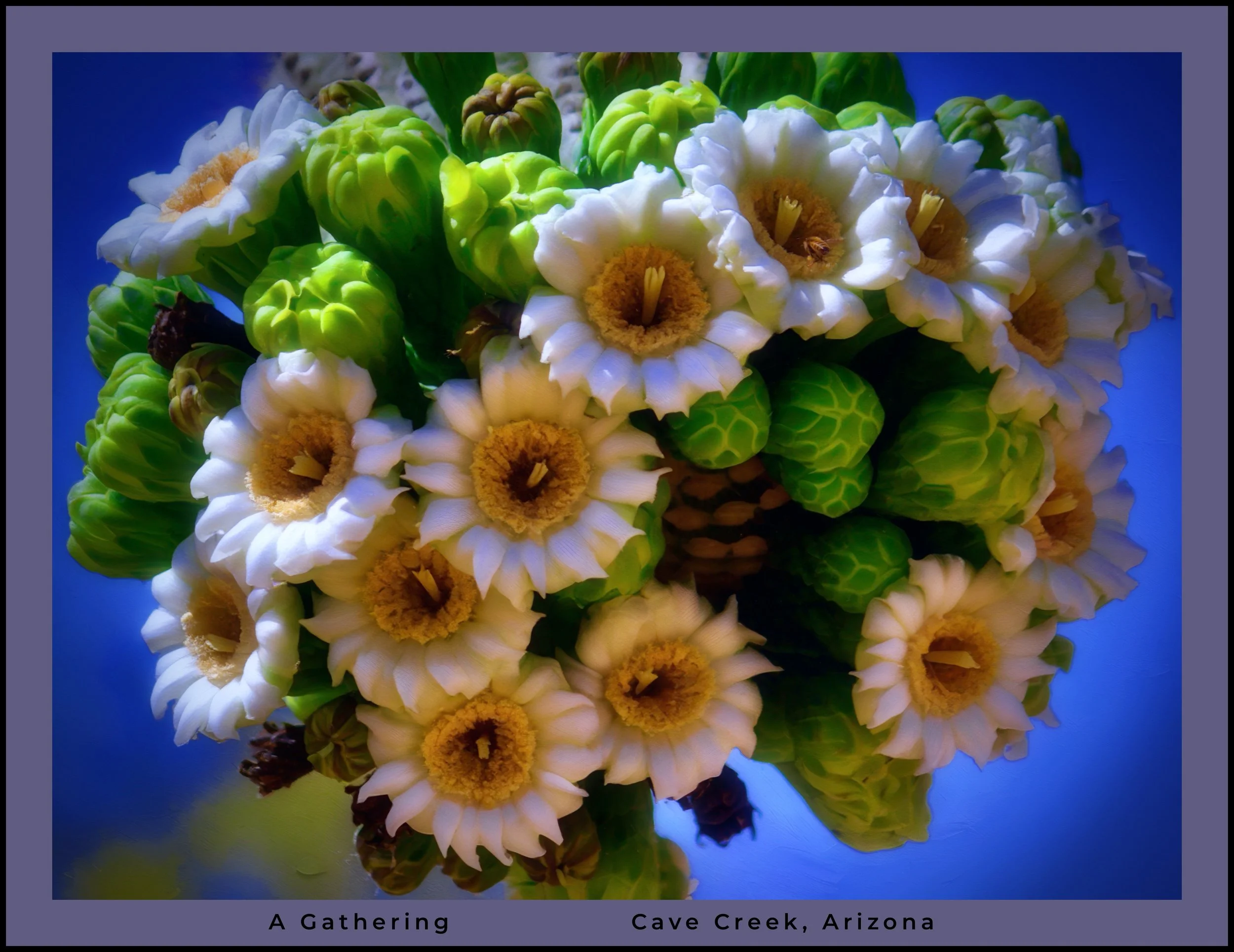 IMG_1953 (2) logo.jpg