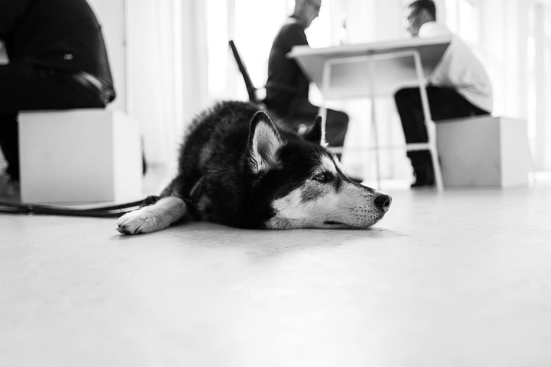0006_Caetch_Member_Treffen_Berlin_by_Christoph_Neumann.jpg