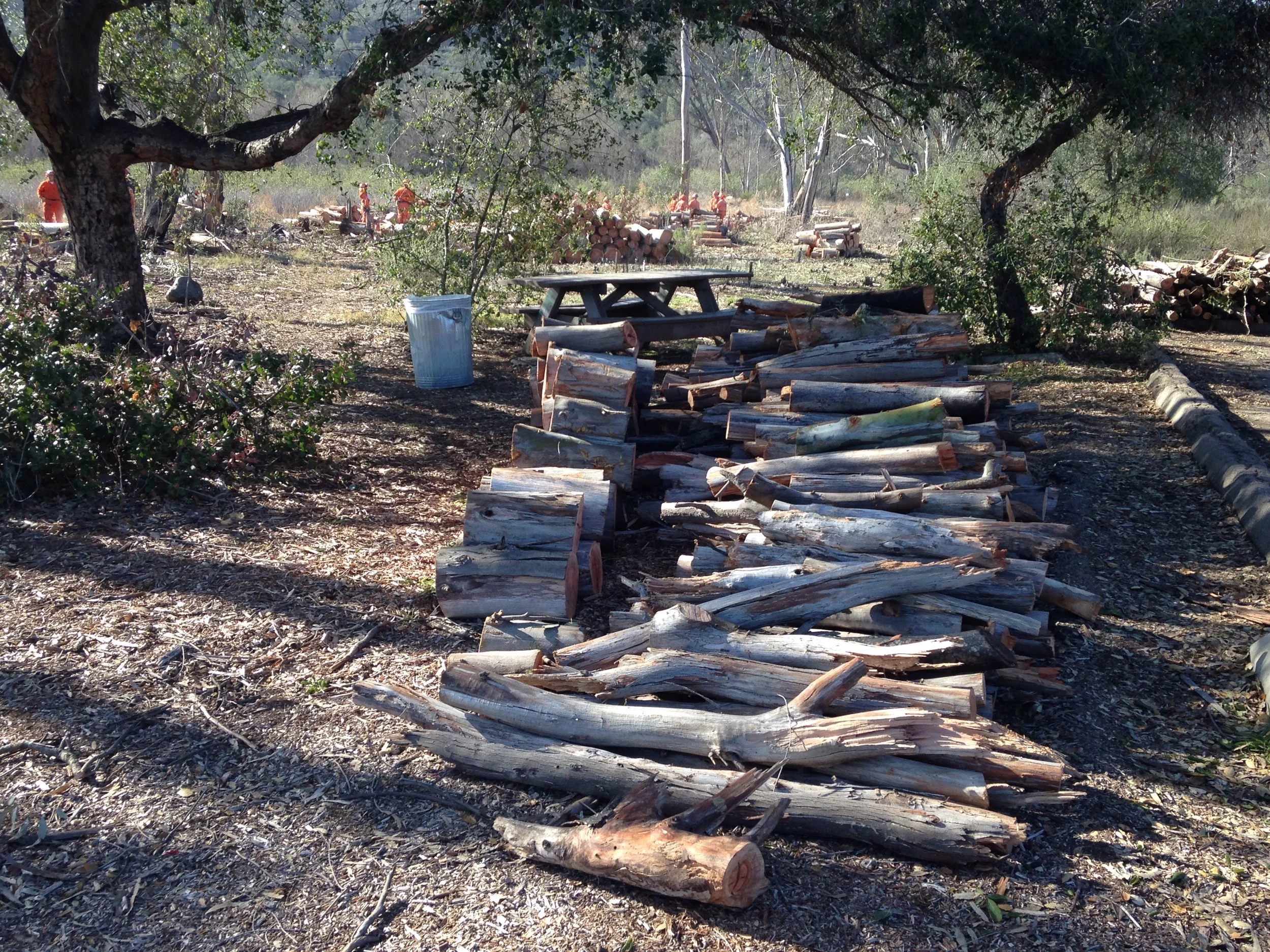 CalFire Crew Firewood Cleanup 2