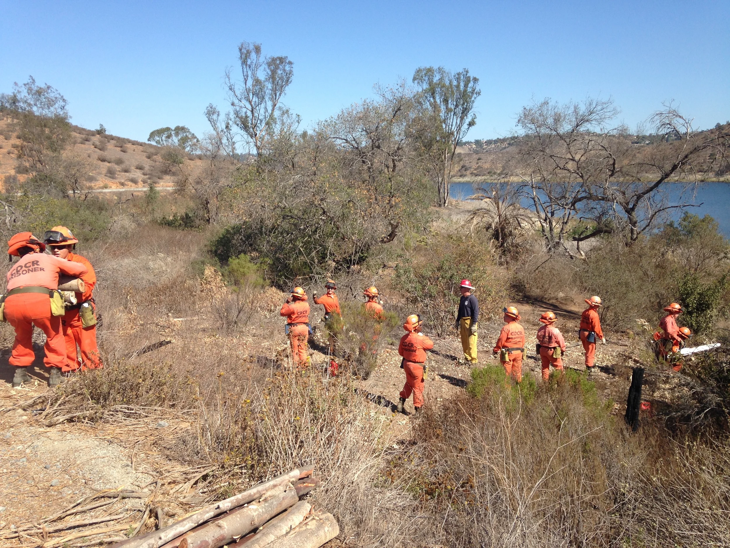 Cal Fire Crew at Work
