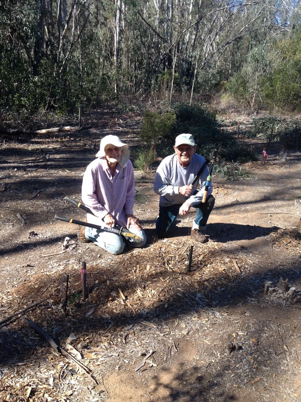 Volunteers