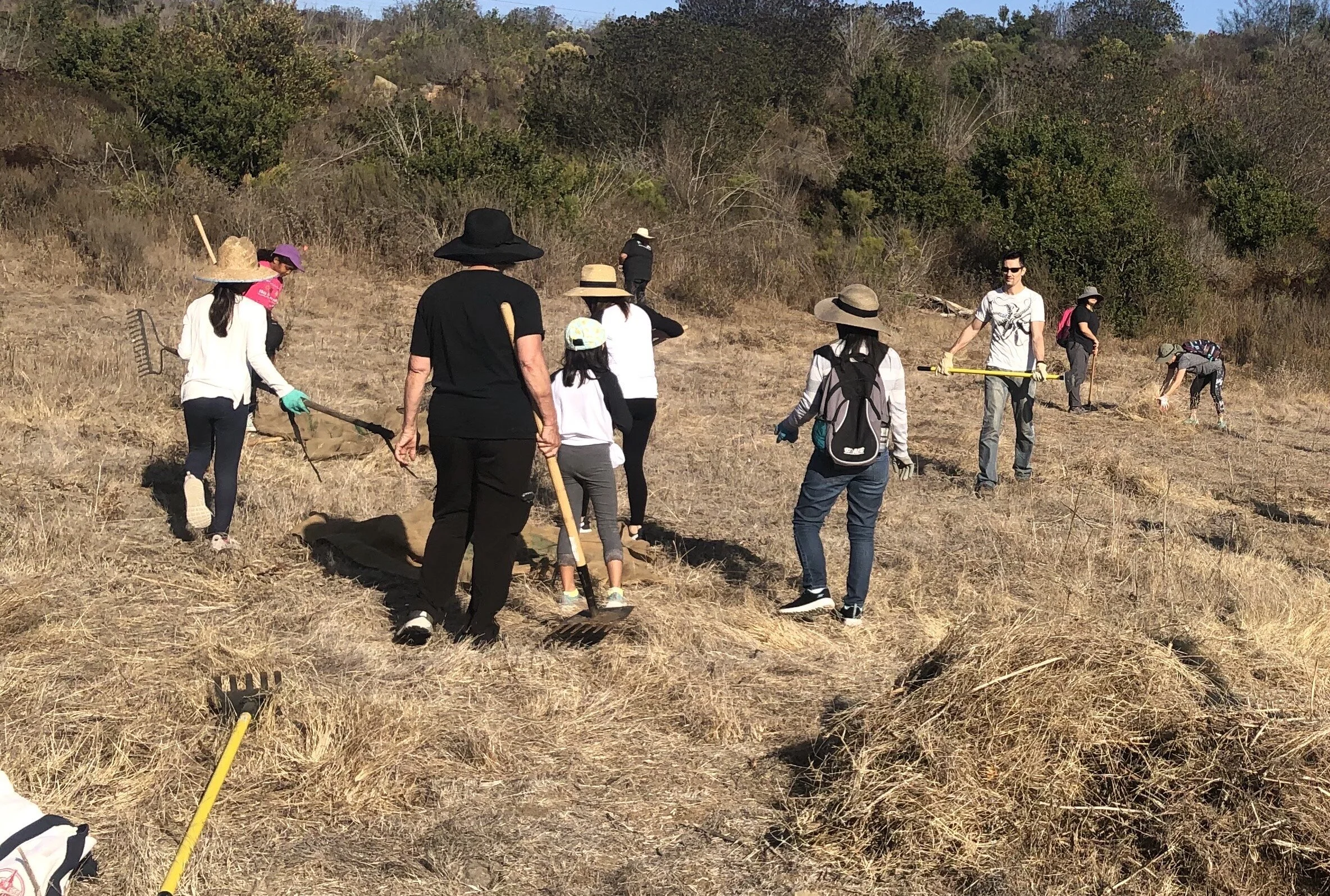 Girl Scouts Volunteer Work Parties
