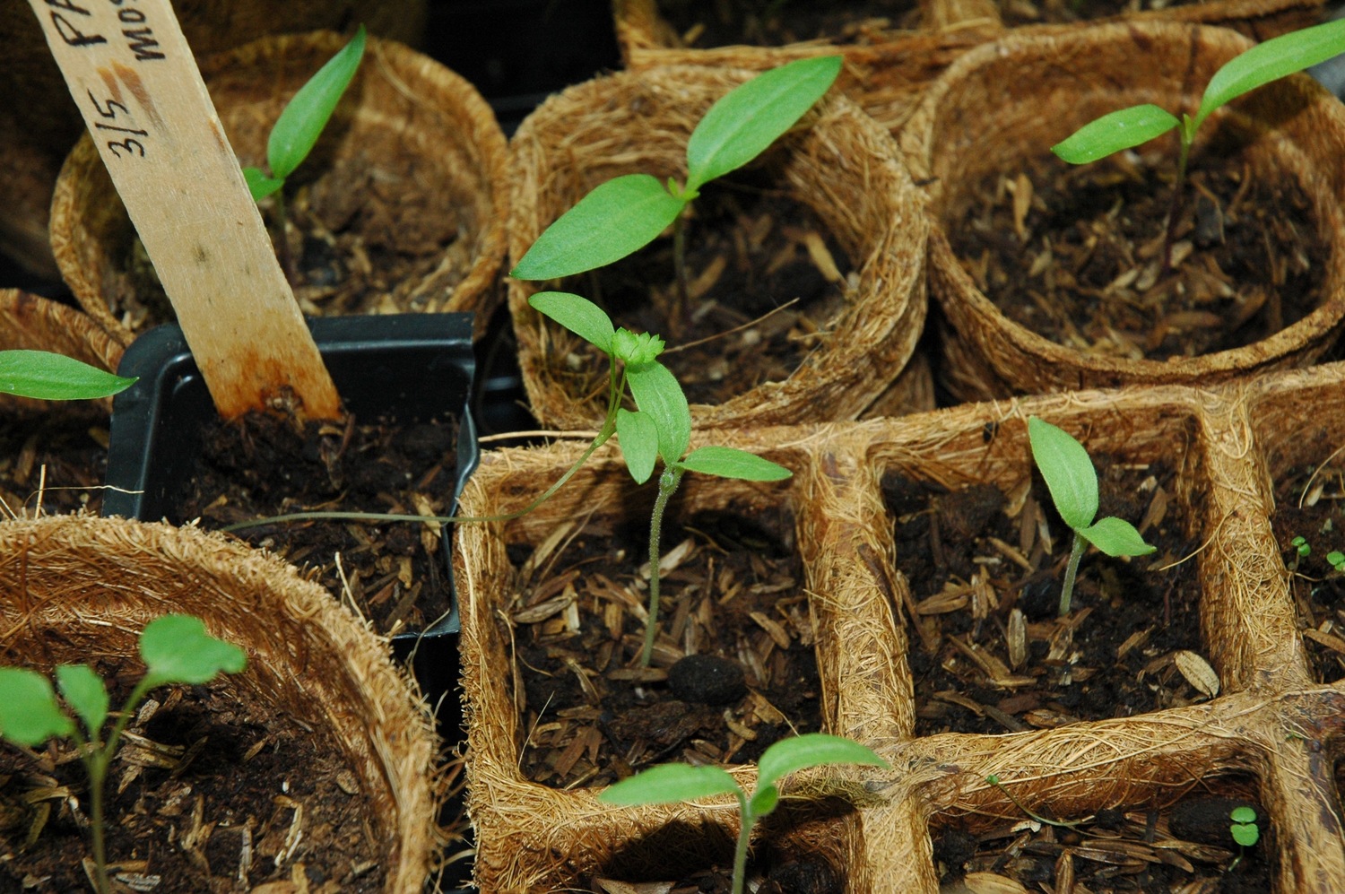 How to Make Your Own Potting Soil – Mother Earth News