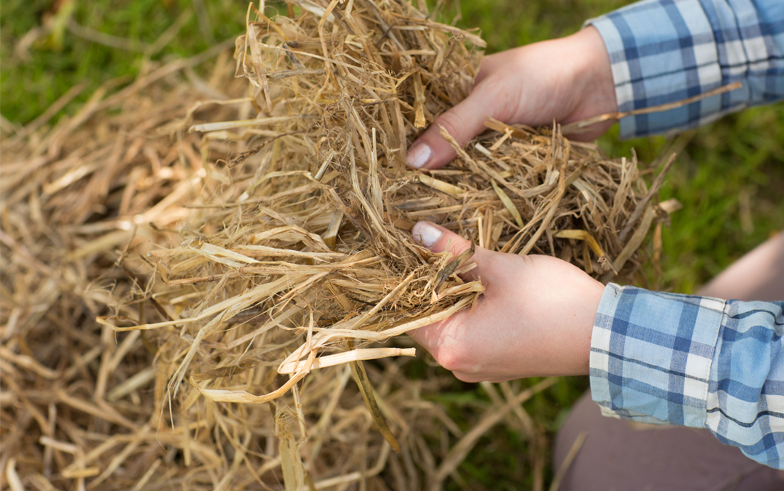 strawbale.jpg